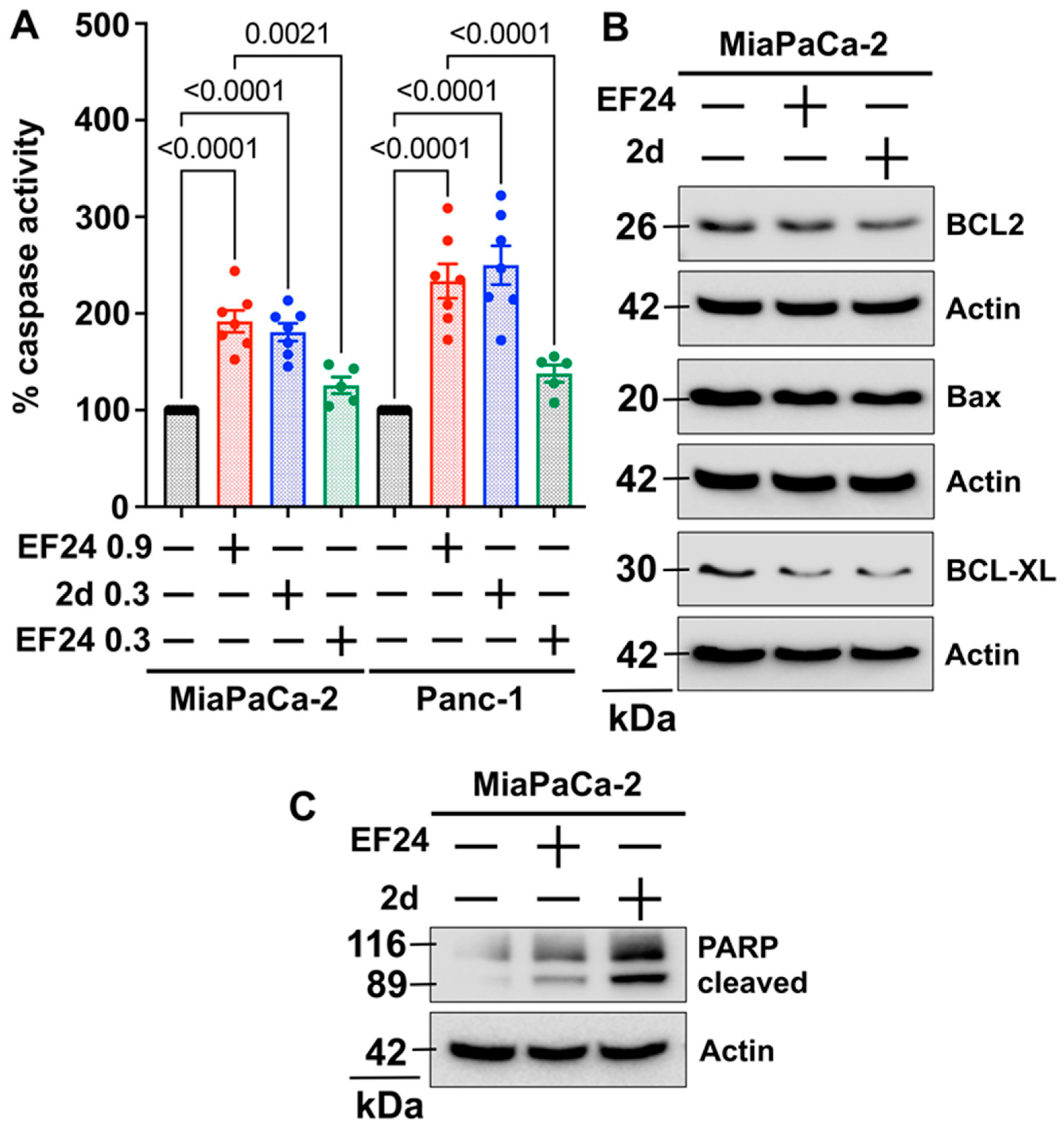 Pharmaceutics 15 01921 g003 Pharmaceutics 15 01921 g003