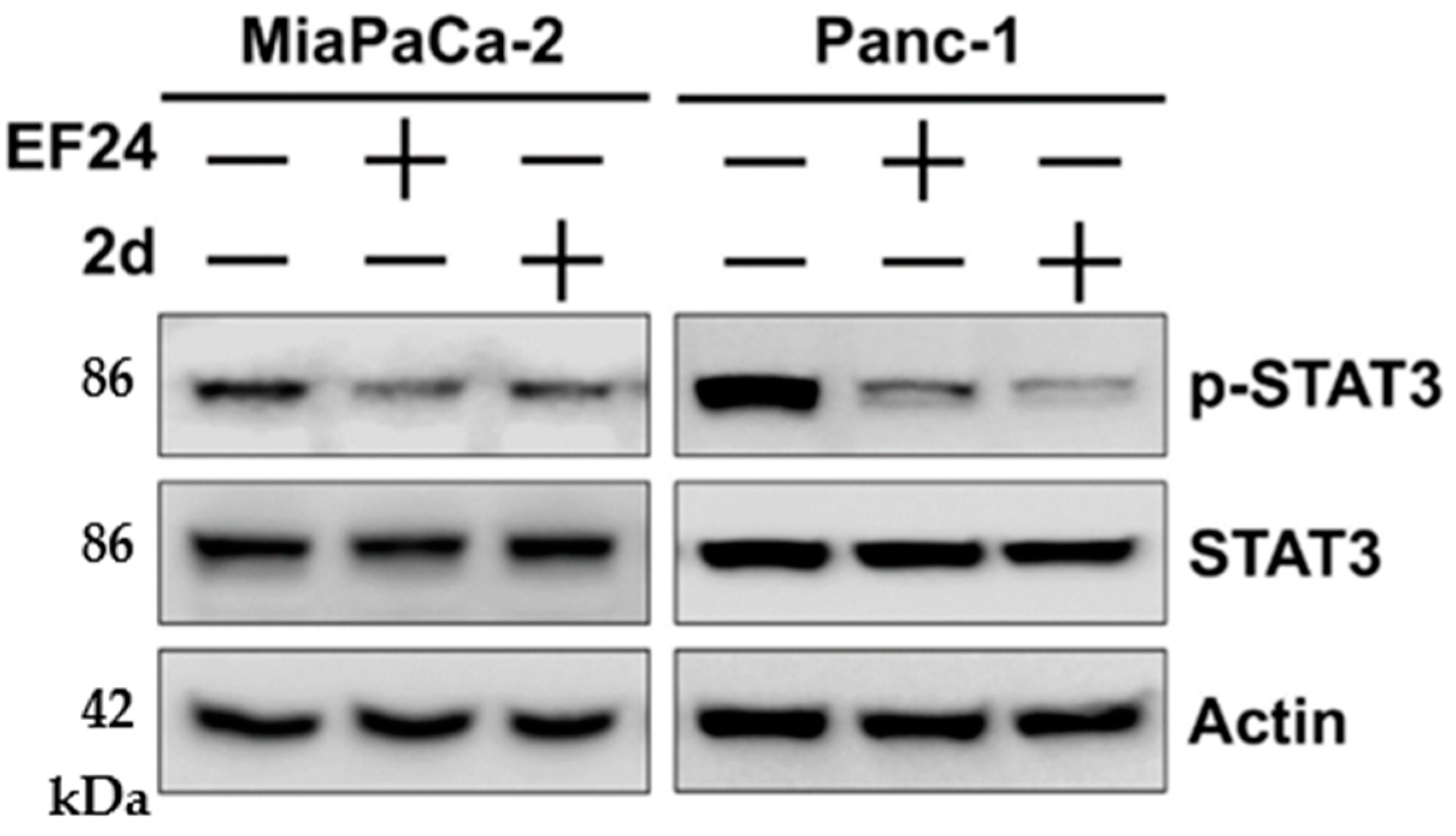 Pharmaceutics 15 01921 g004 Pharmaceutics 15 01921 g004