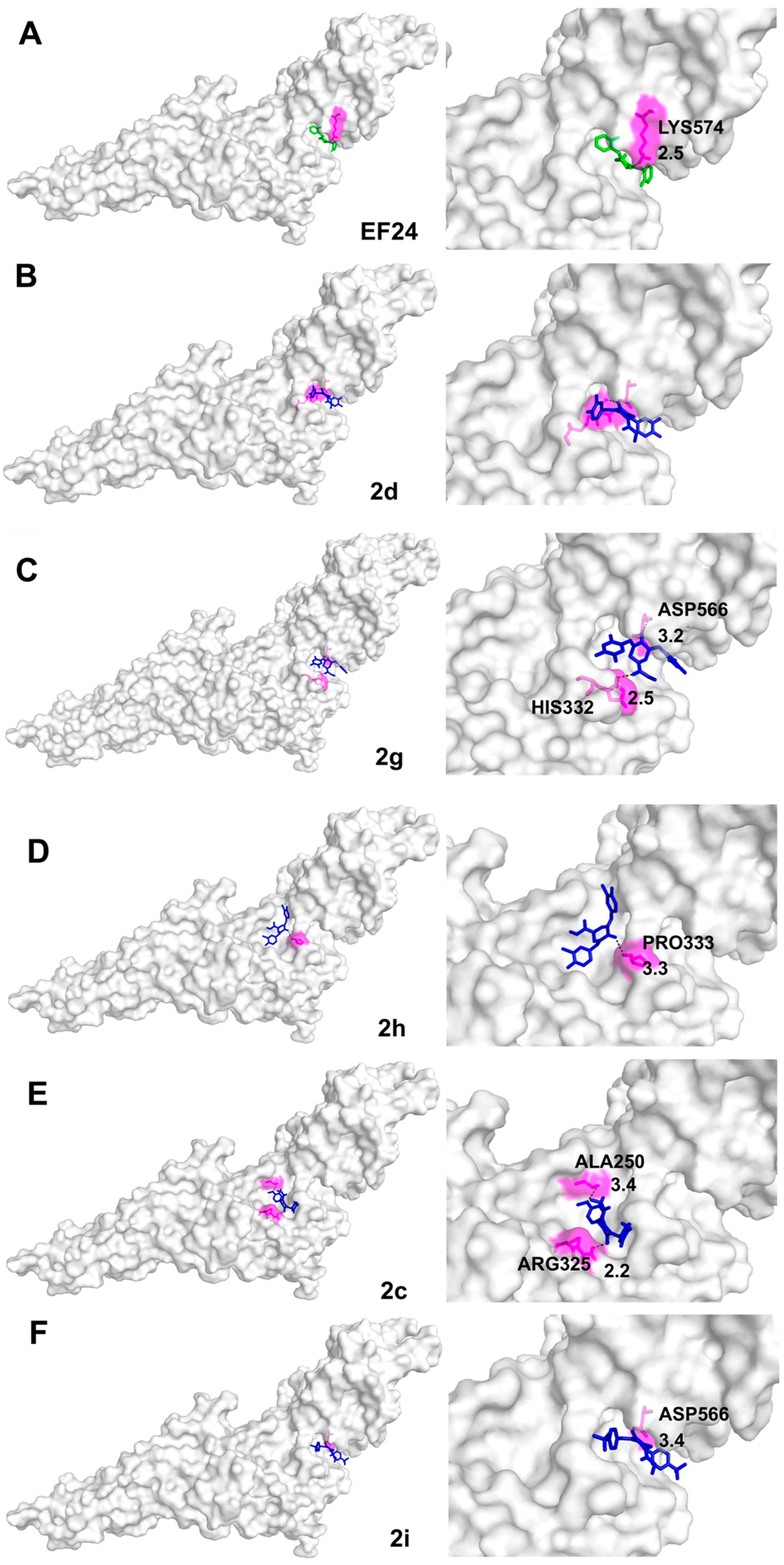 Pharmaceutics 15 01921 g005 Pharmaceutics 15 01921 g005