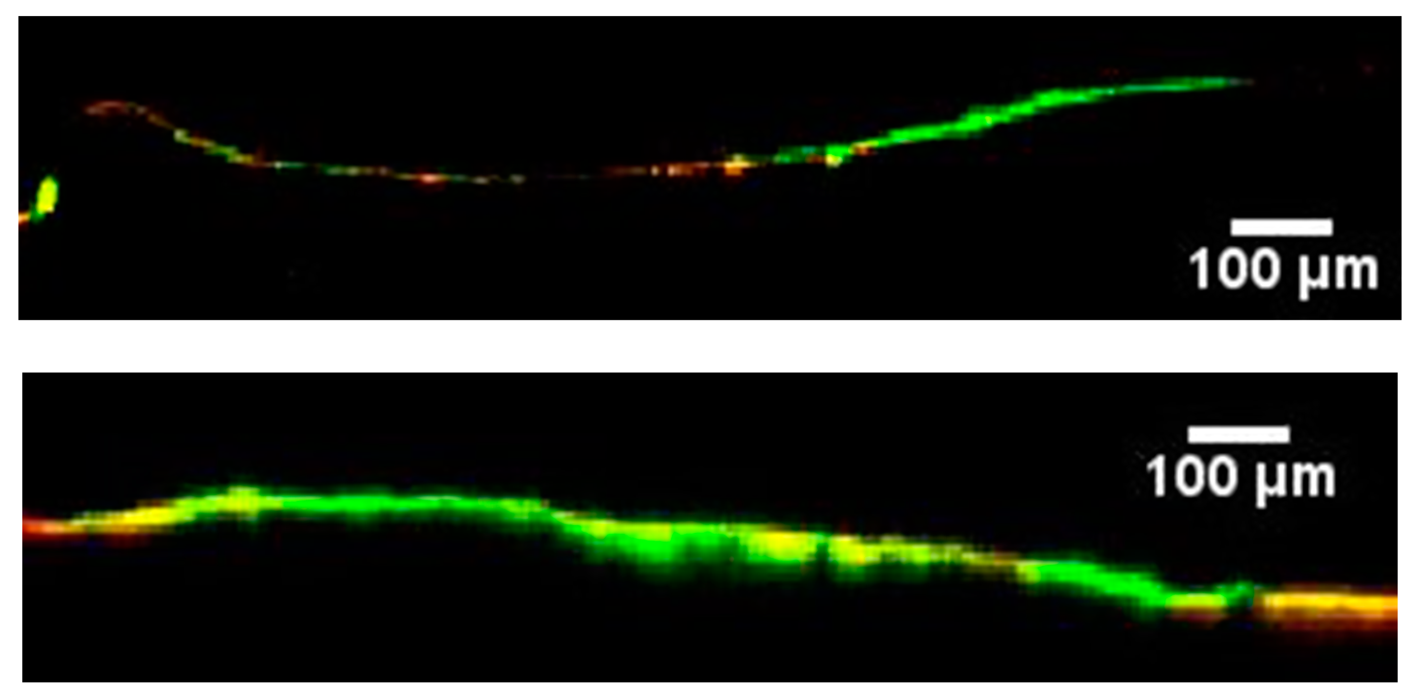 Pharmaceutics 15 01927 g005