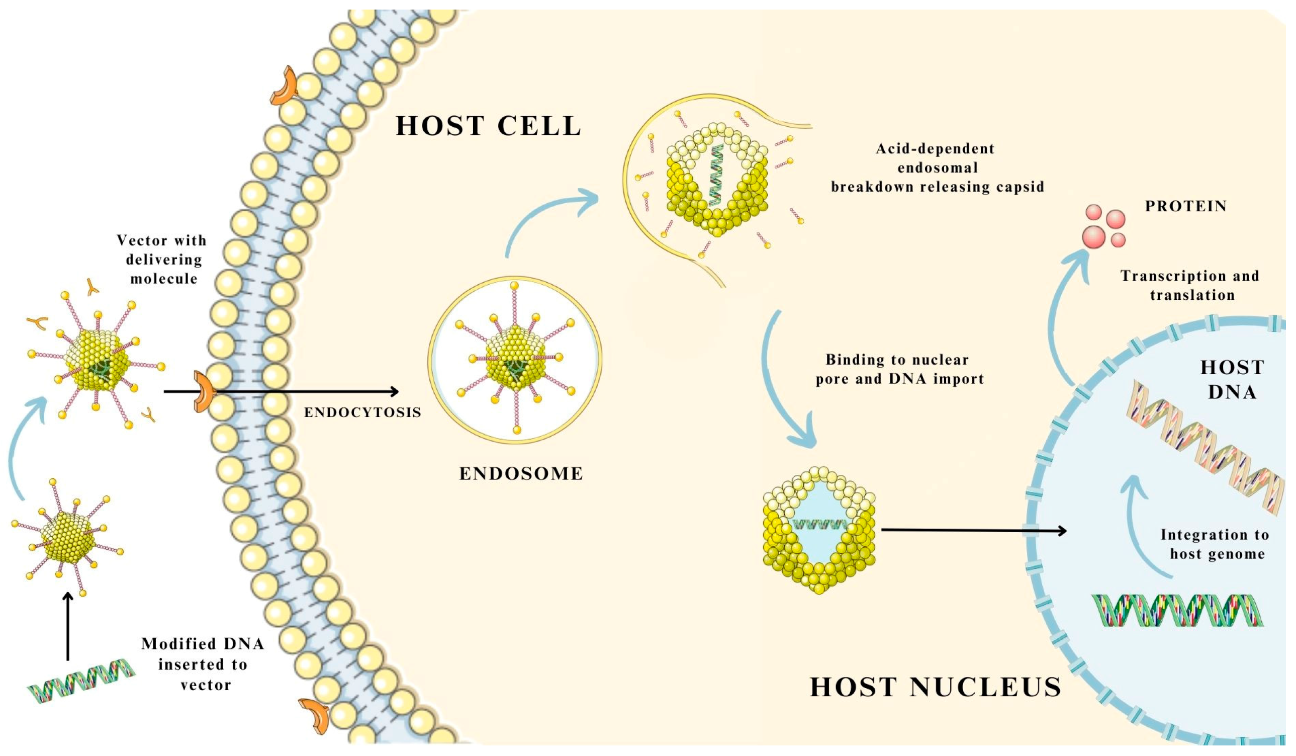 Pharmaceutics 15 01931 g004