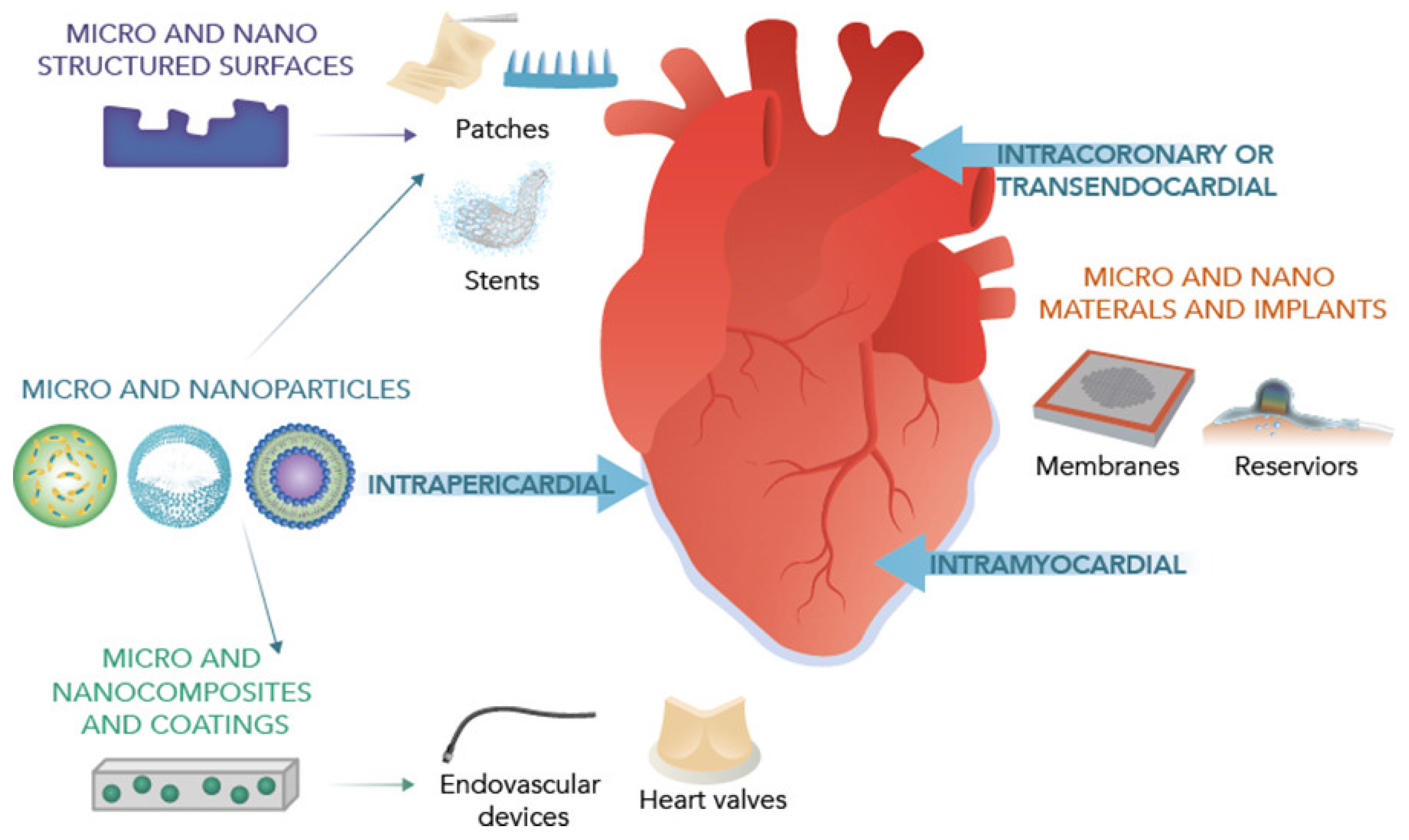 Pharmaceutics 15 01935 g001