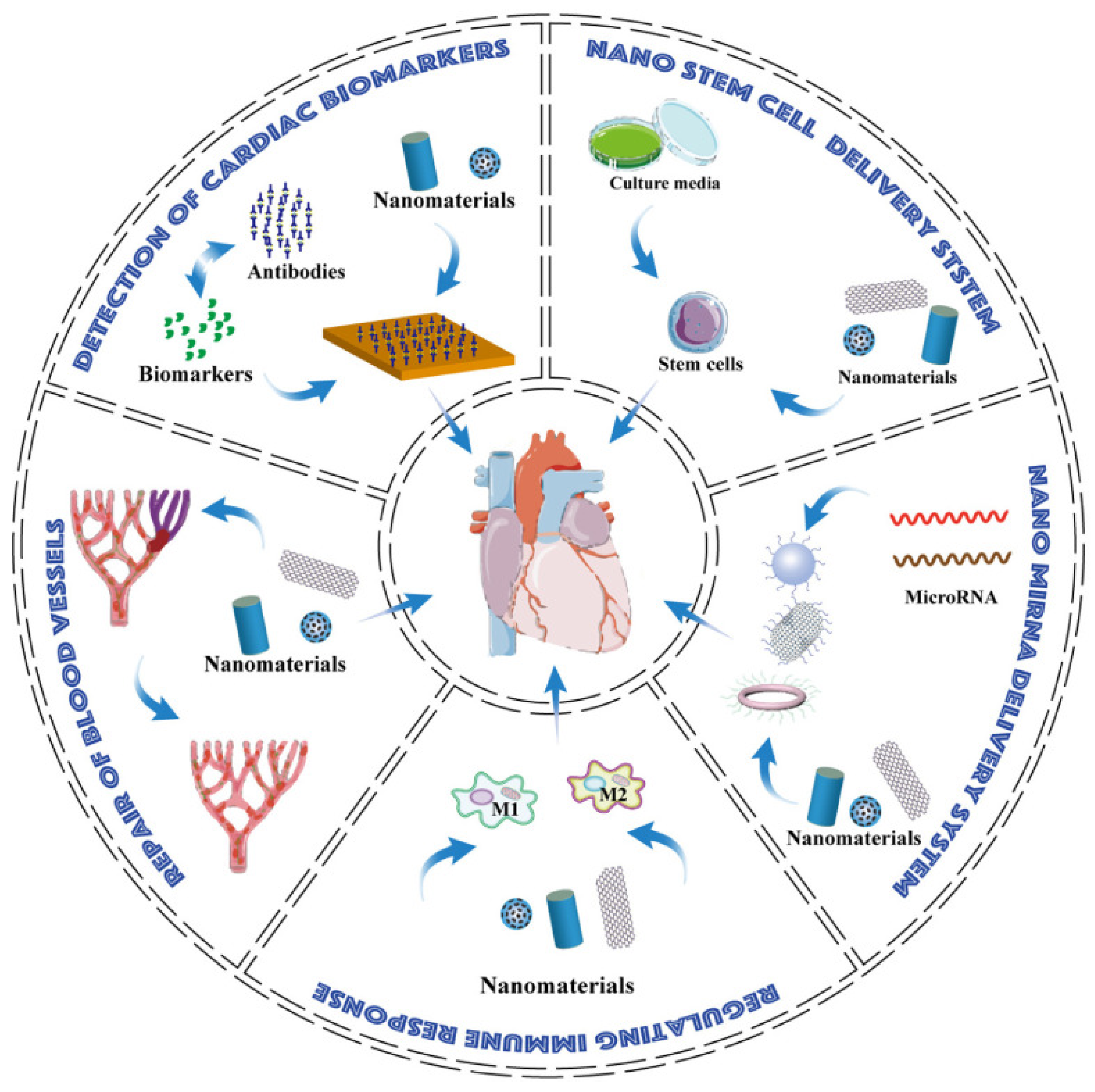 Pharmaceutics 15 01935 g003