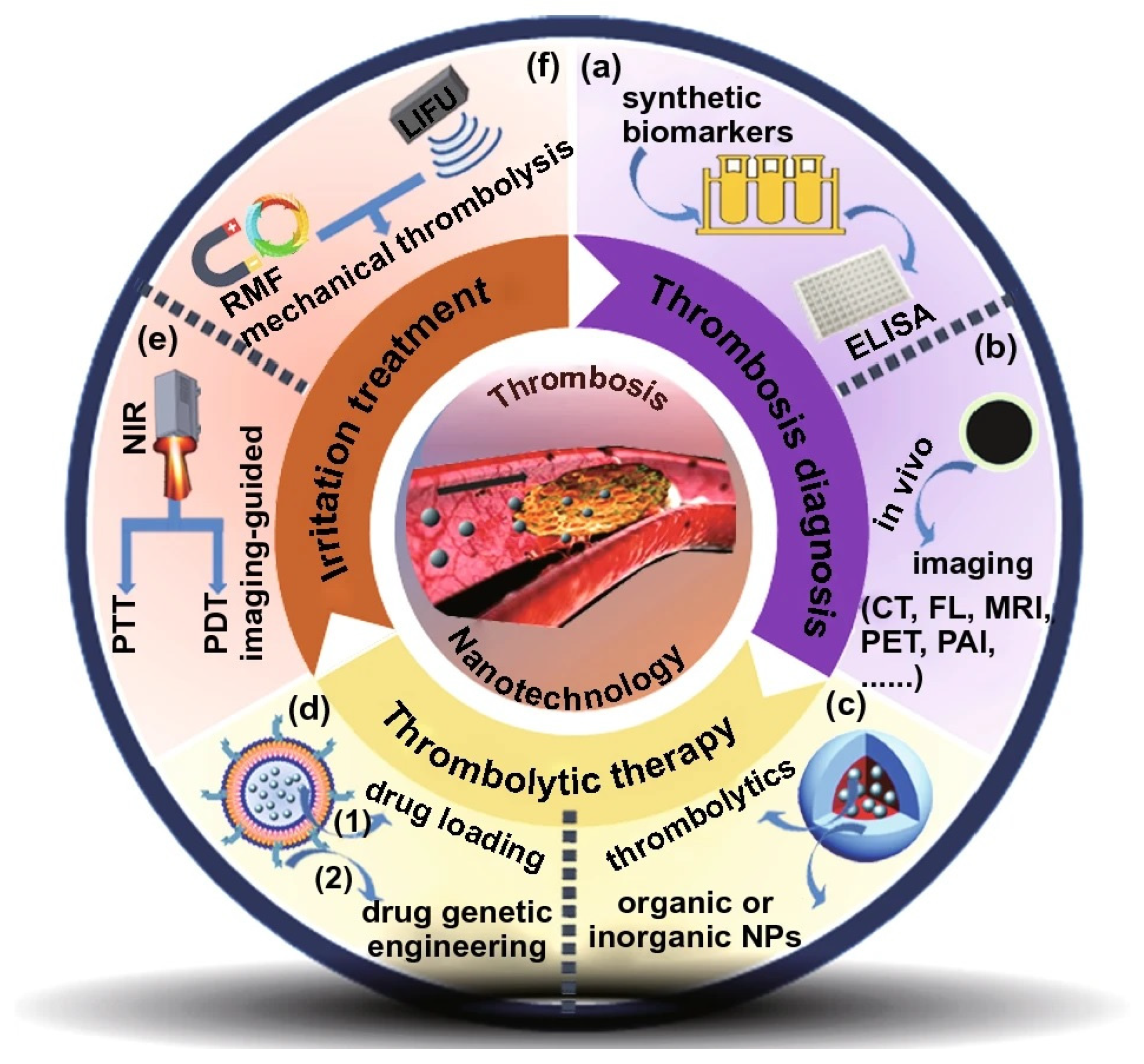 Pharmaceutics 15 01935 g004