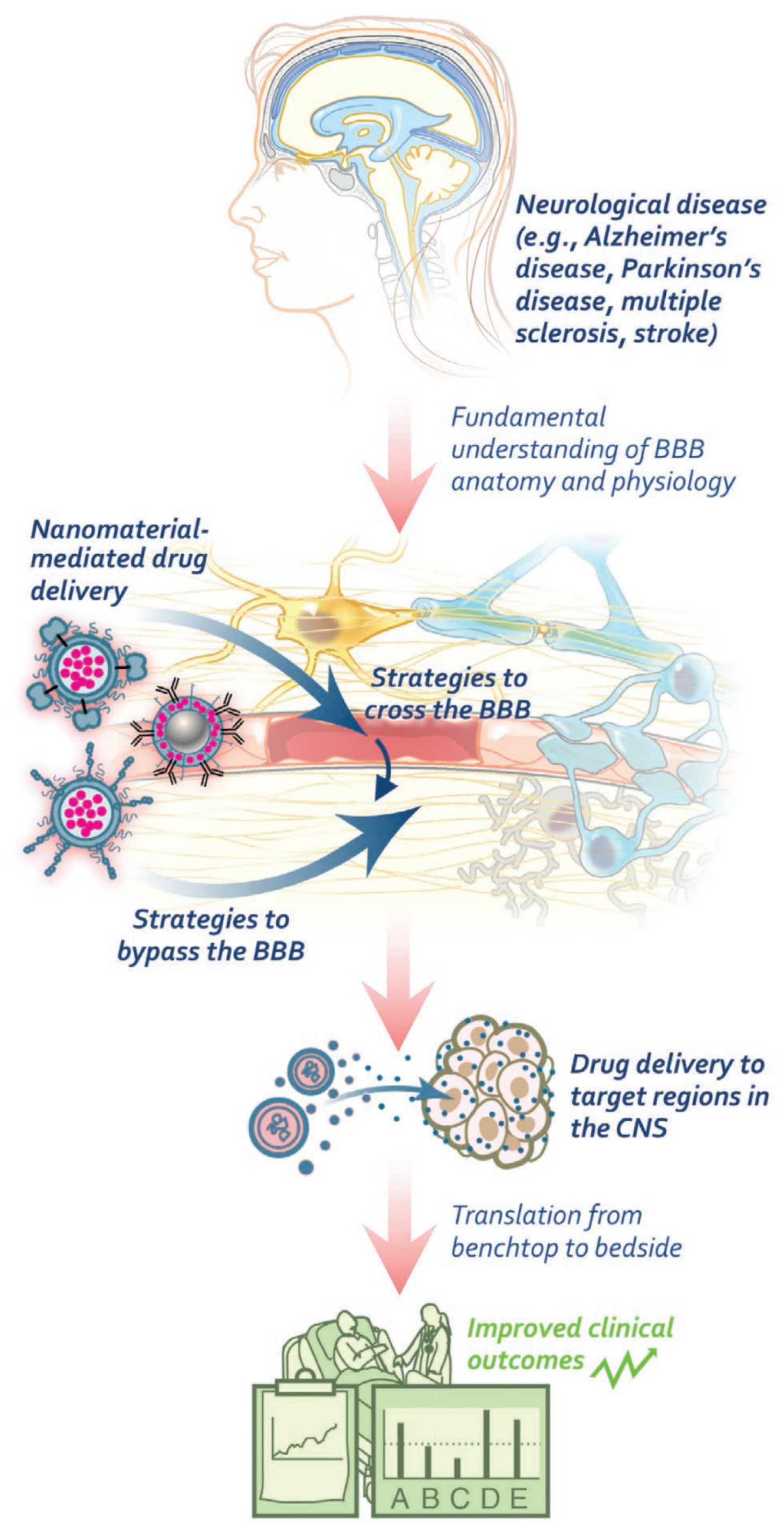 Pharmaceutics 15 01935 g005