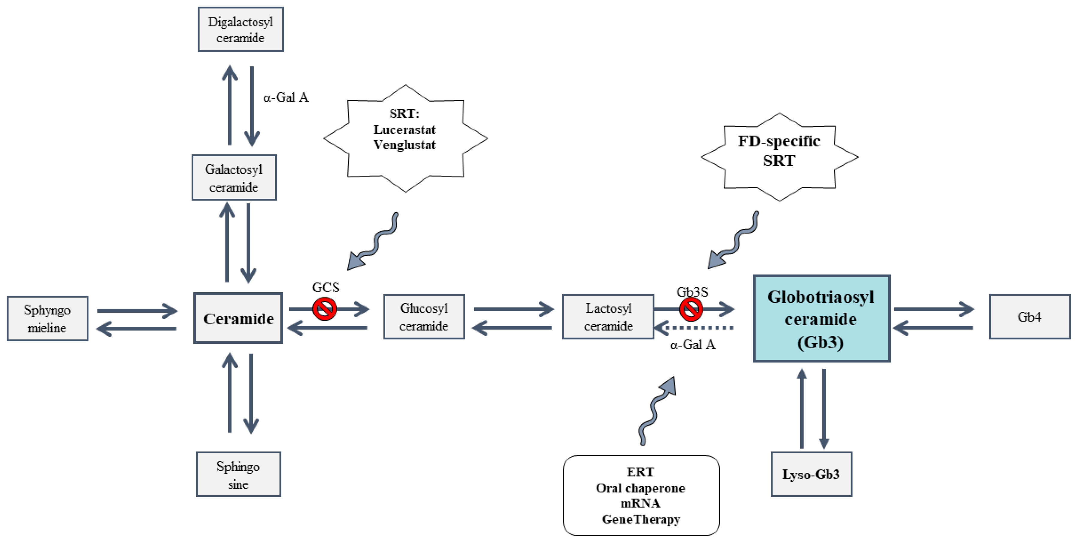Pharmaceutics 15 01936 g001 Pharmaceutics 15 01936 g001