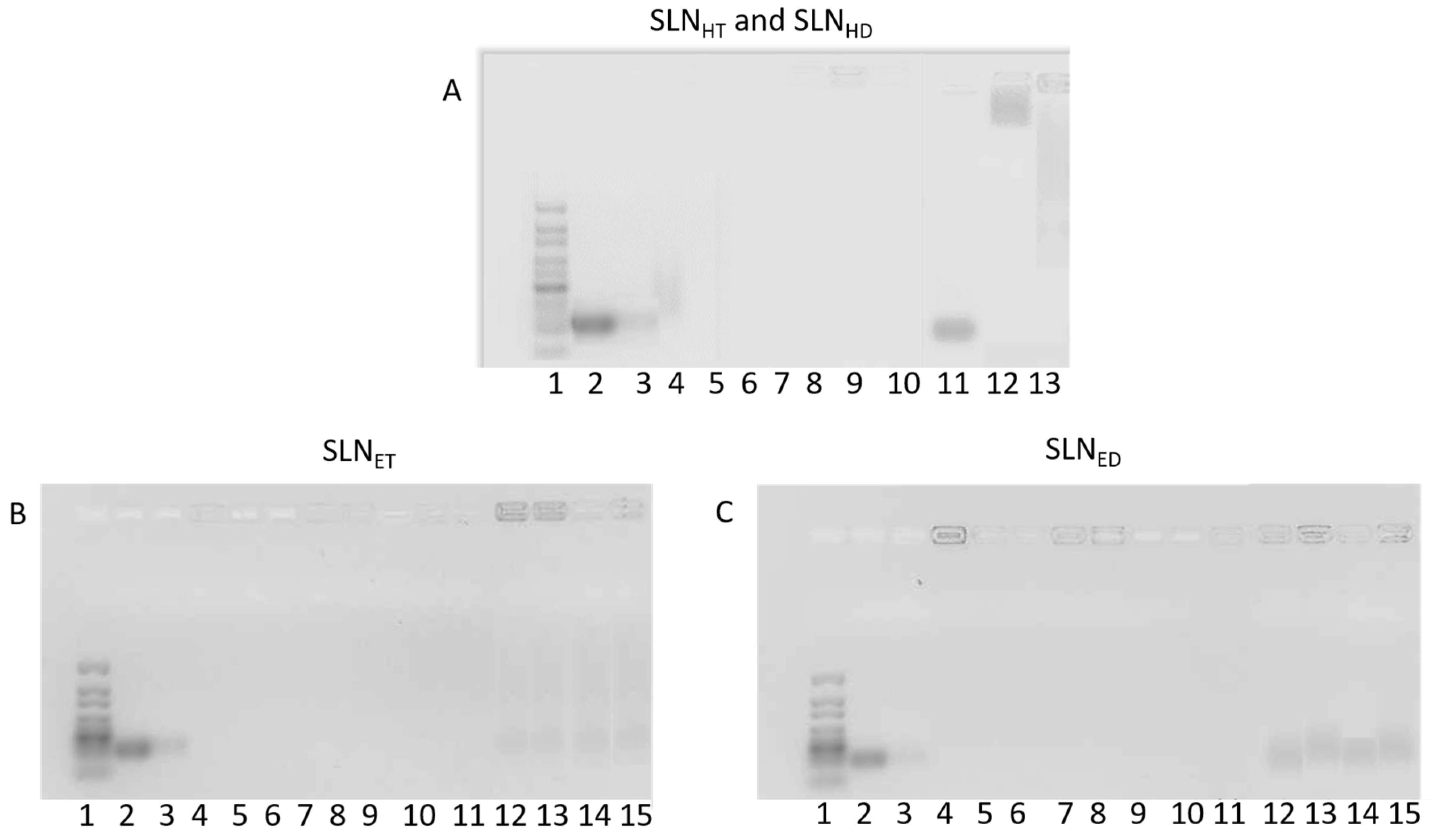Pharmaceutics 15 01936 g004 Pharmaceutics 15 01936 g004