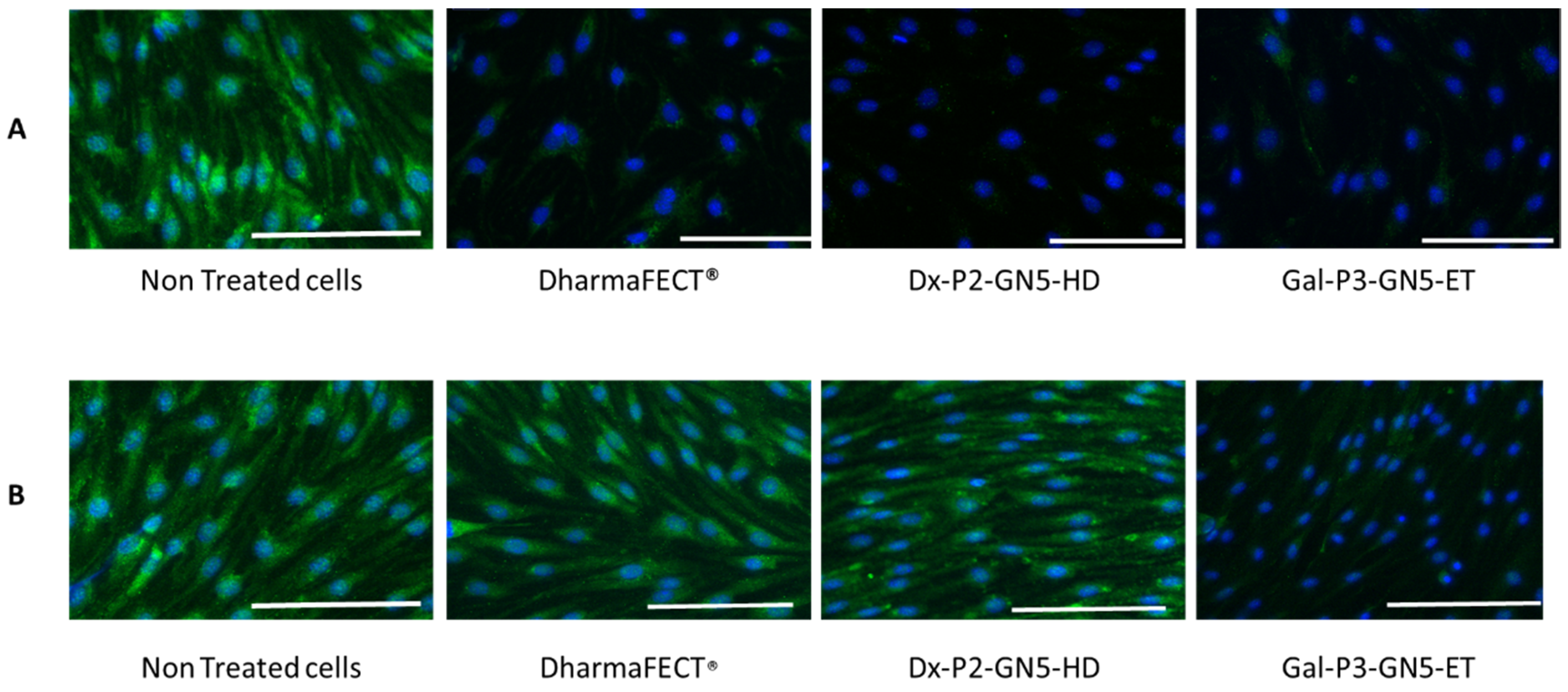 Pharmaceutics 15 01936 g007 Pharmaceutics 15 01936 g007