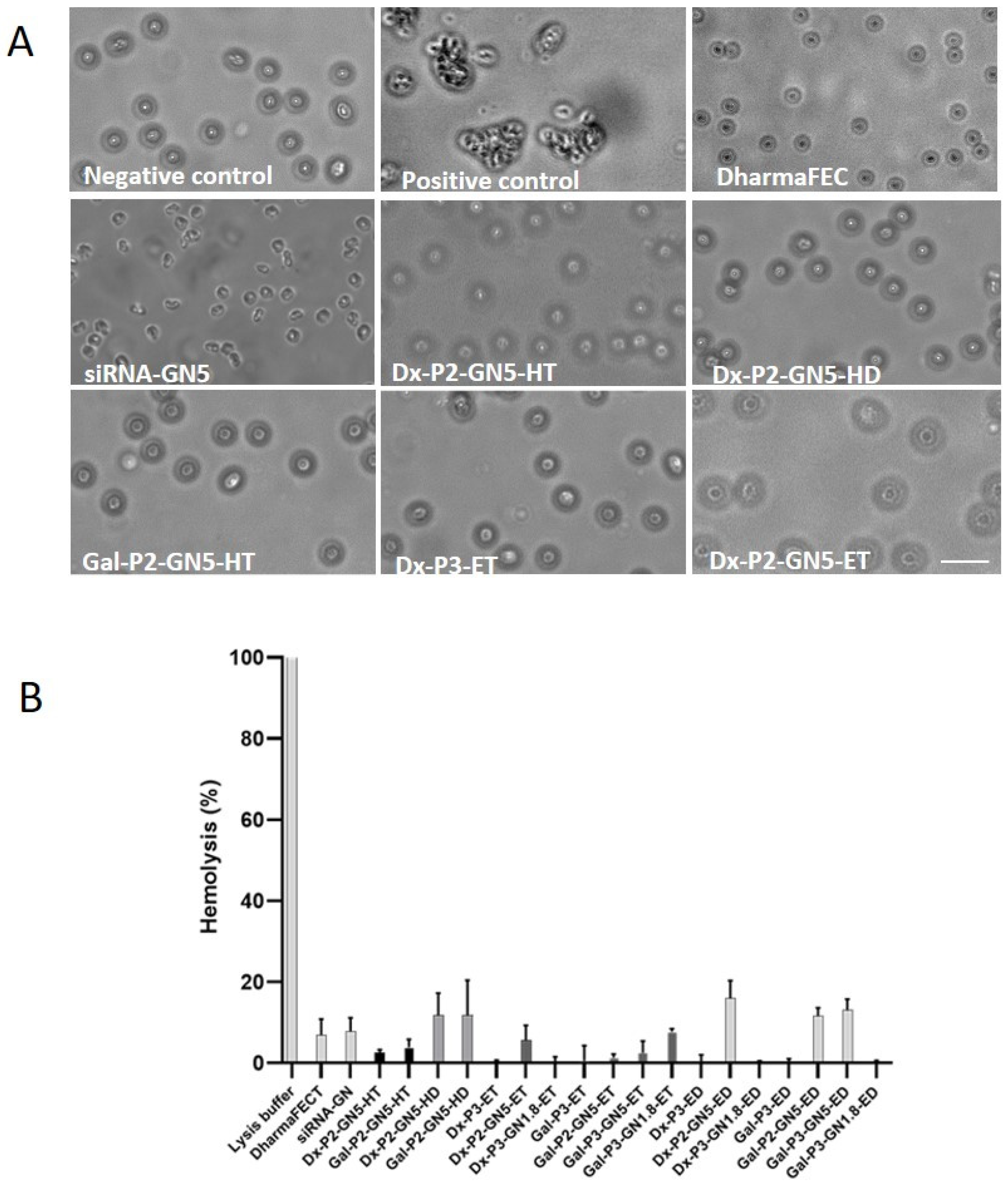 Pharmaceutics 15 01936 g008 Pharmaceutics 15 01936 g008