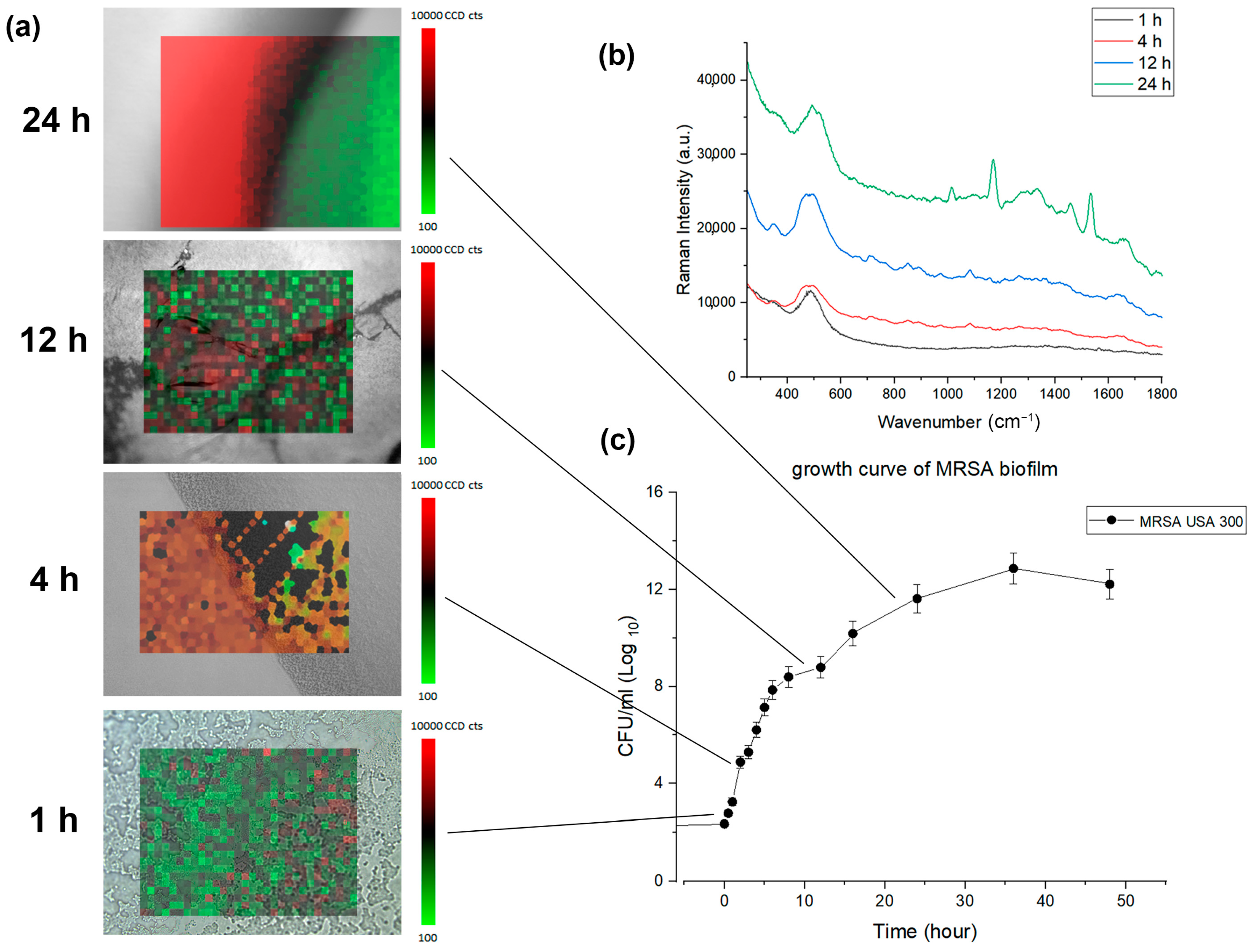Pharmaceutics 15 01937 g004