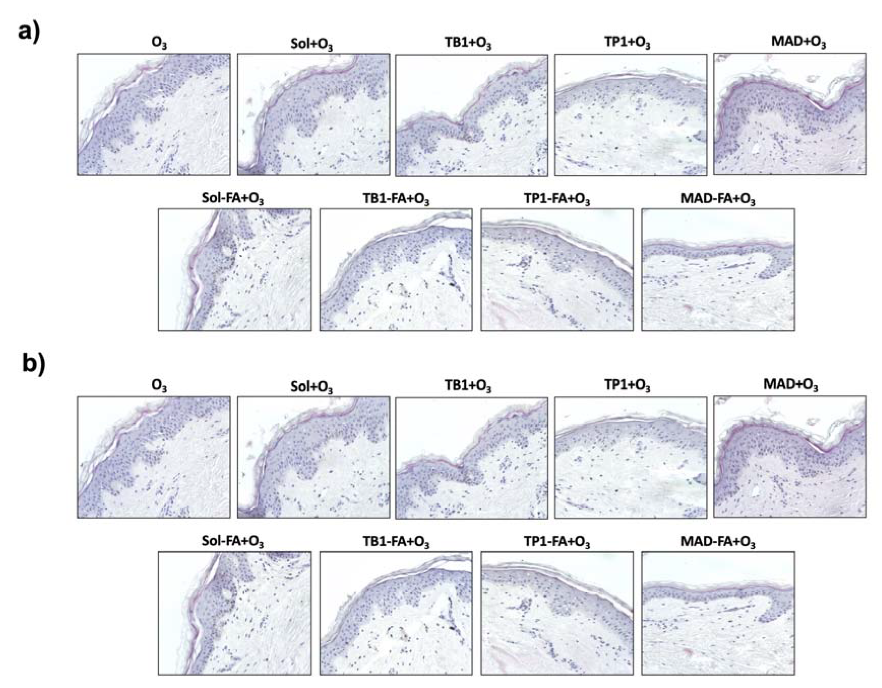Pharmaceutics 15 01940 g005
