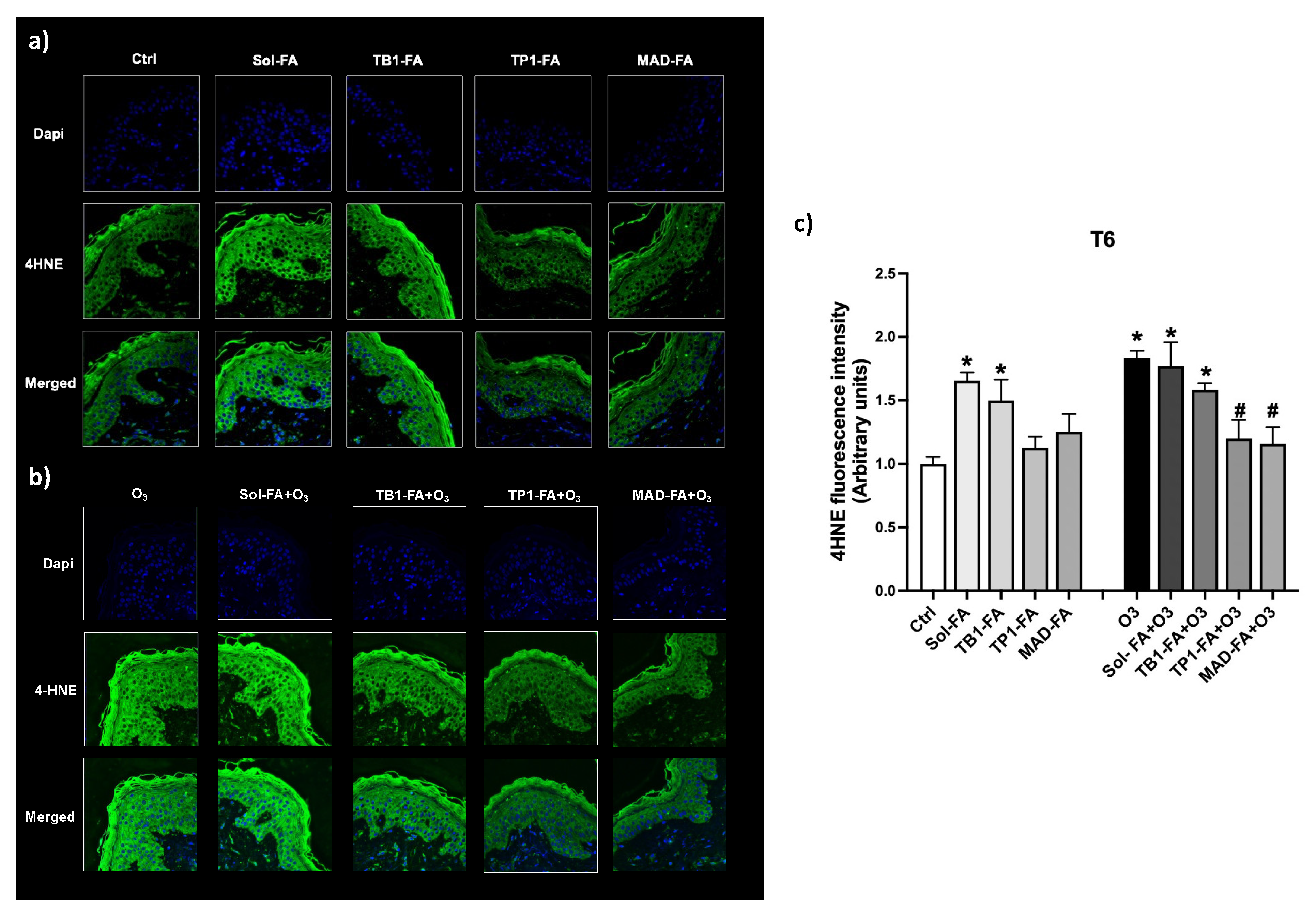 Pharmaceutics 15 01940 g006