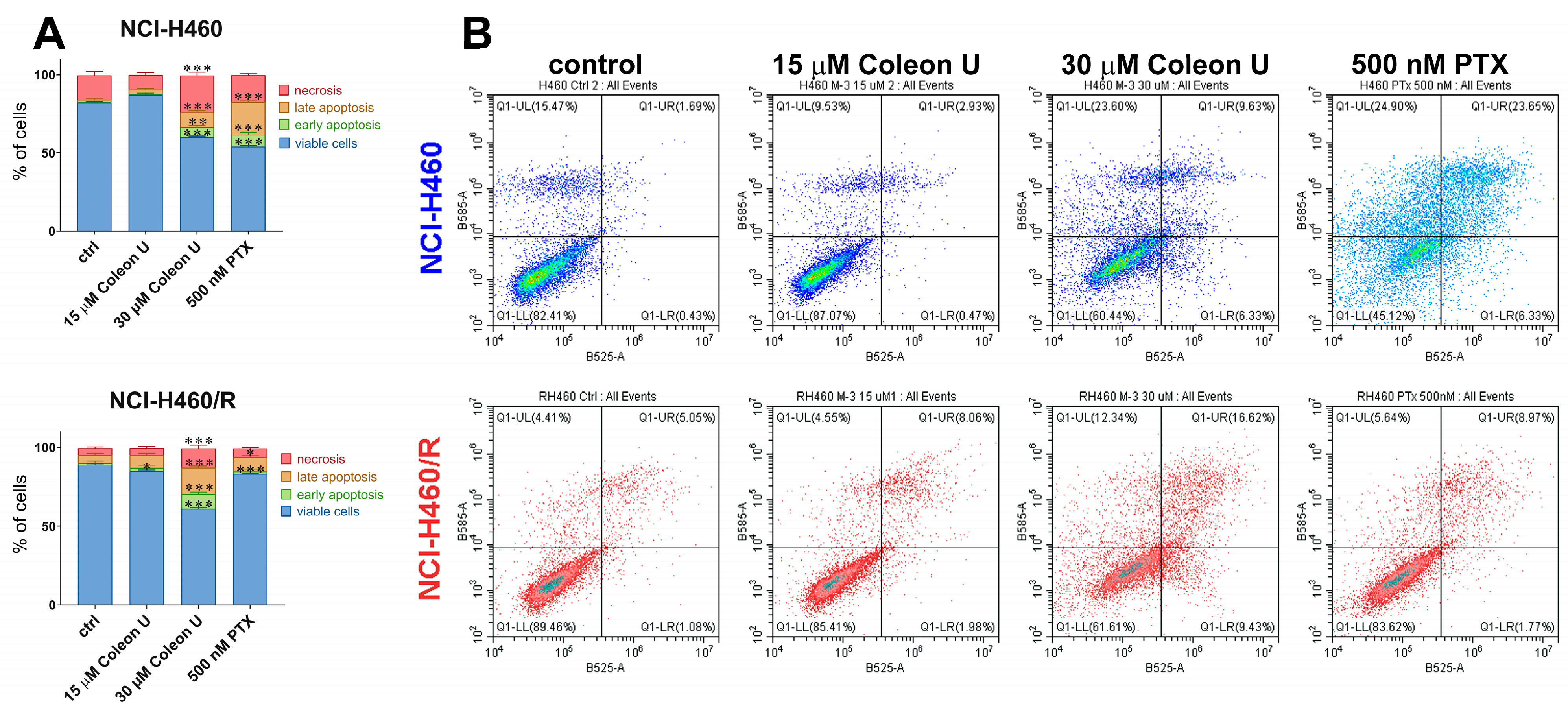 Pharmaceutics 15 01942 g003