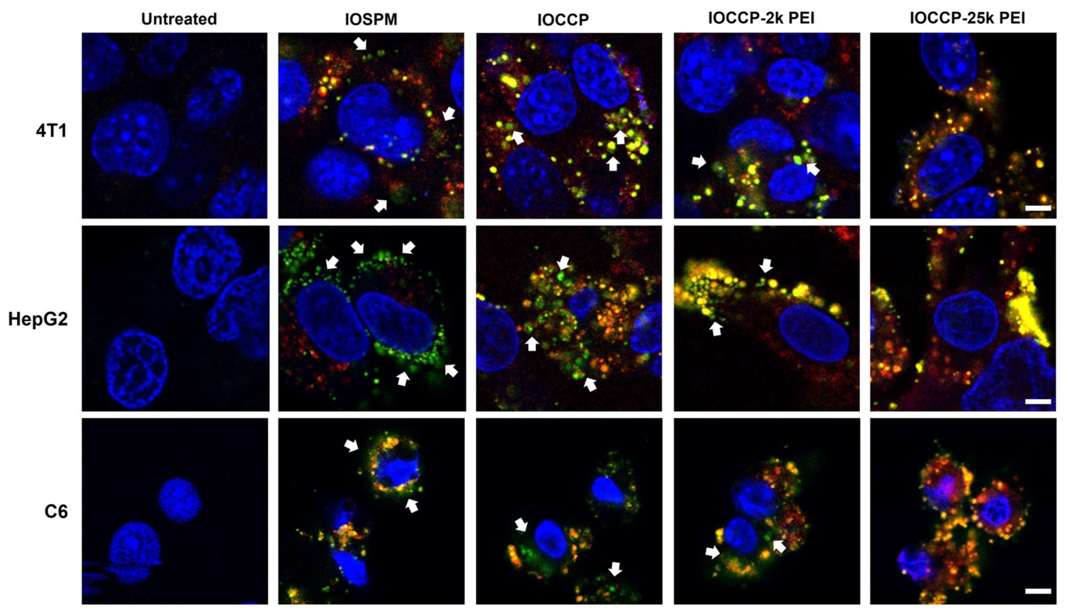 Pharmaceutics 15 01946 g004