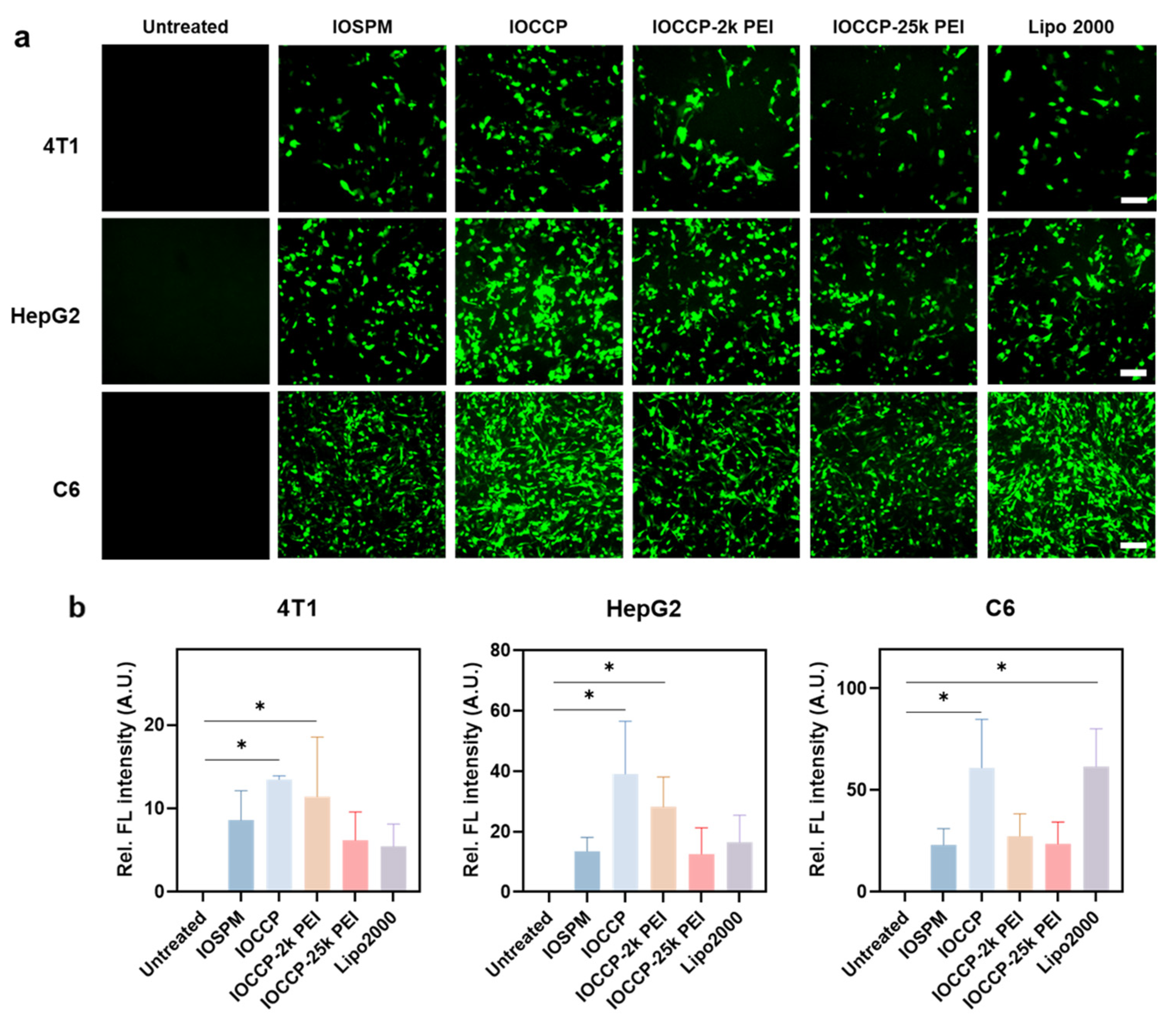 Pharmaceutics 15 01946 g005