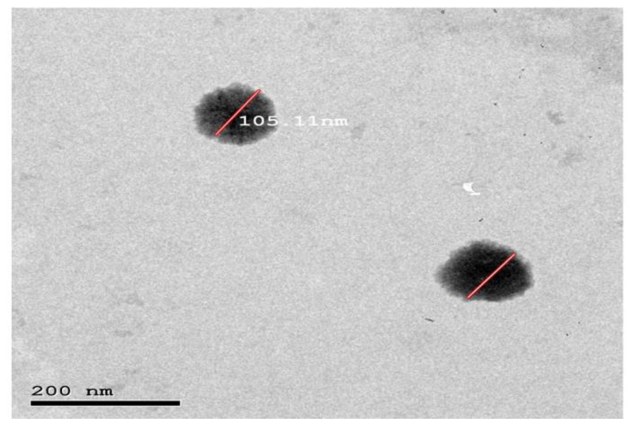 Pharmaceutics 15 01947 g007 Pharmaceutics 15 01947 g007