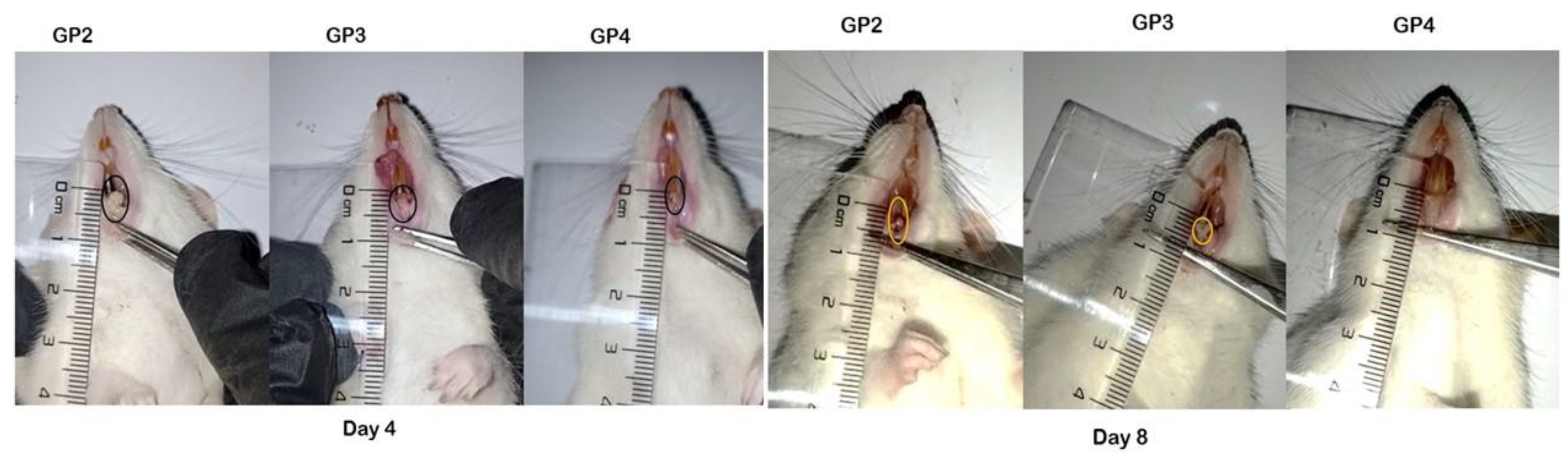 Pharmaceutics 15 01947 g011 Pharmaceutics 15 01947 g011