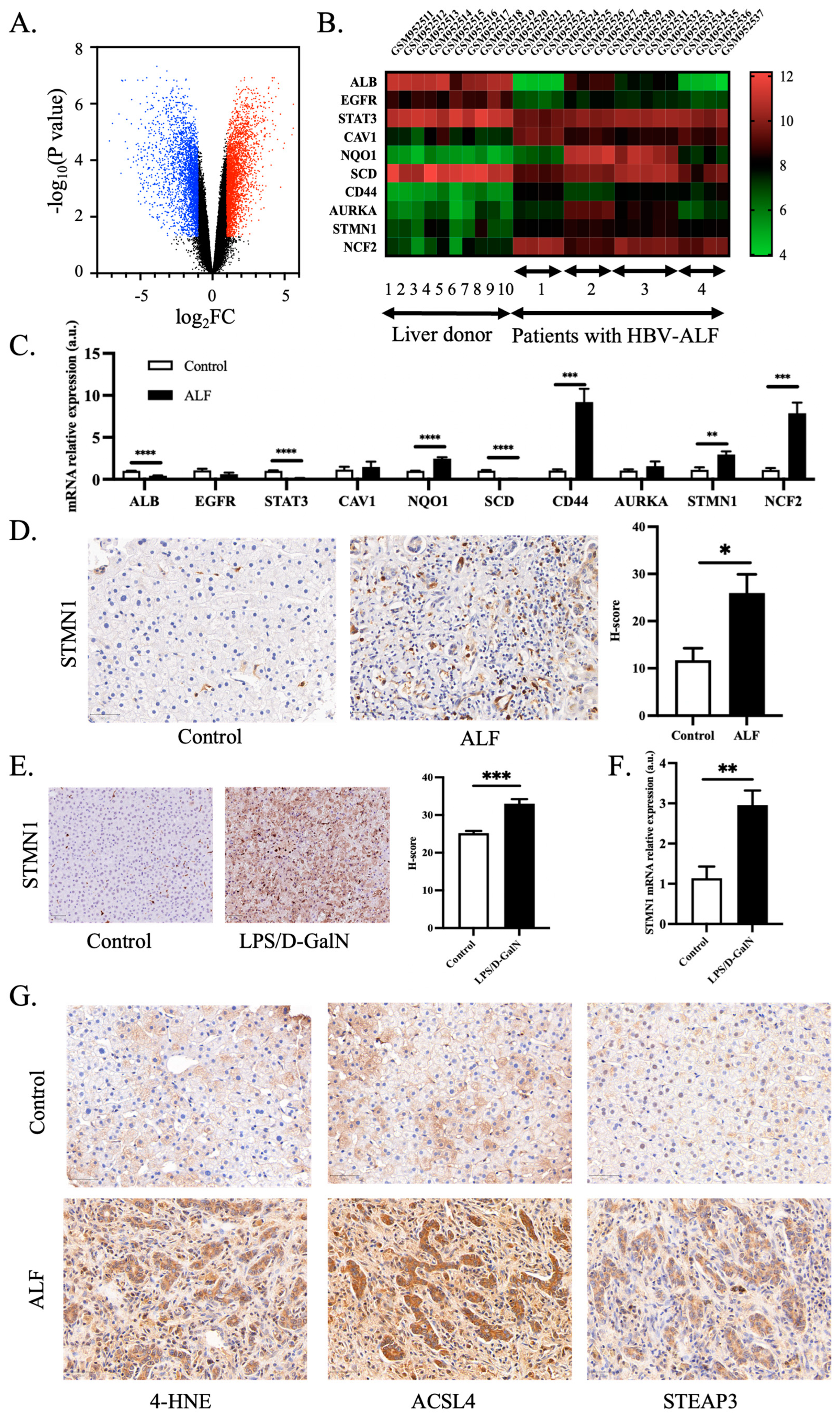 Pharmaceutics 15 01950 g003