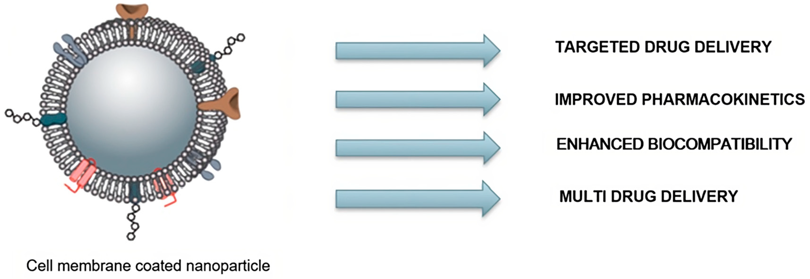 Pharmaceutics 15 01953 g003