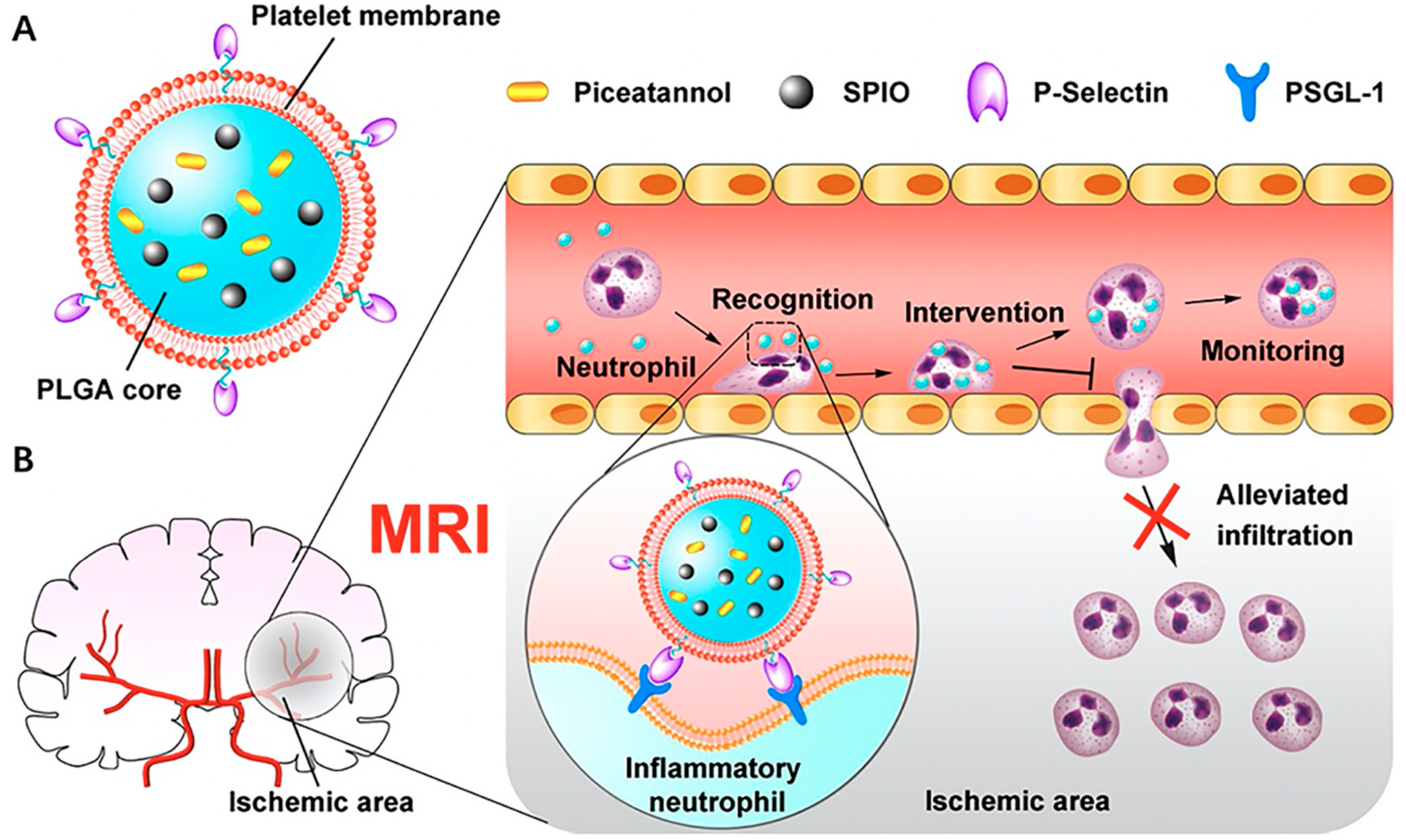 Pharmaceutics 15 01953 g005