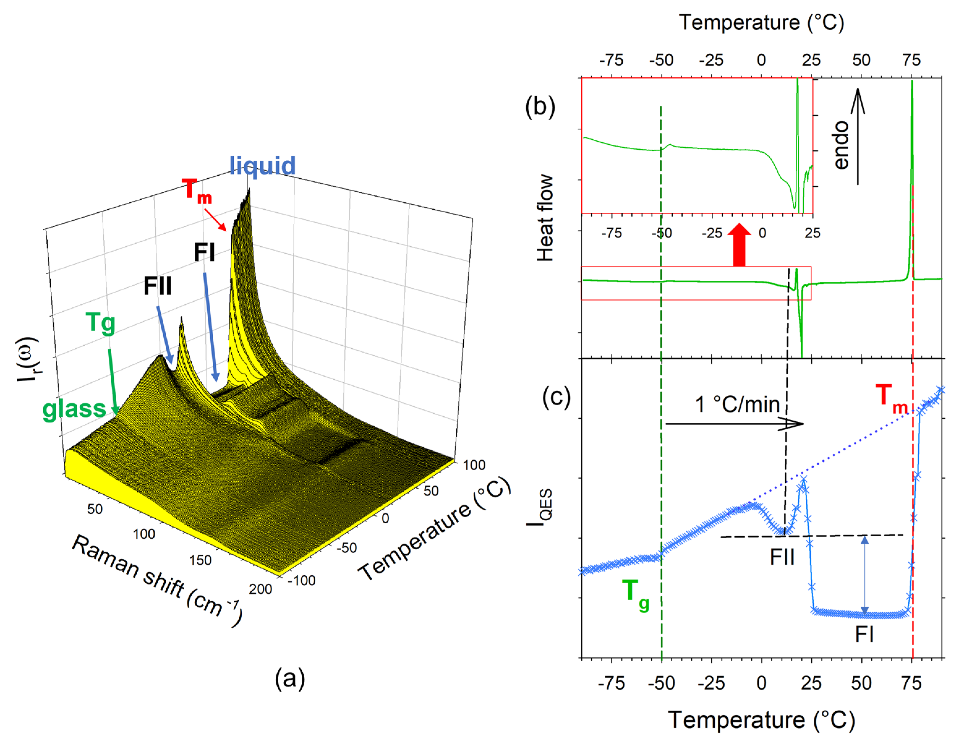 Pharmaceutics 15 01955 g003