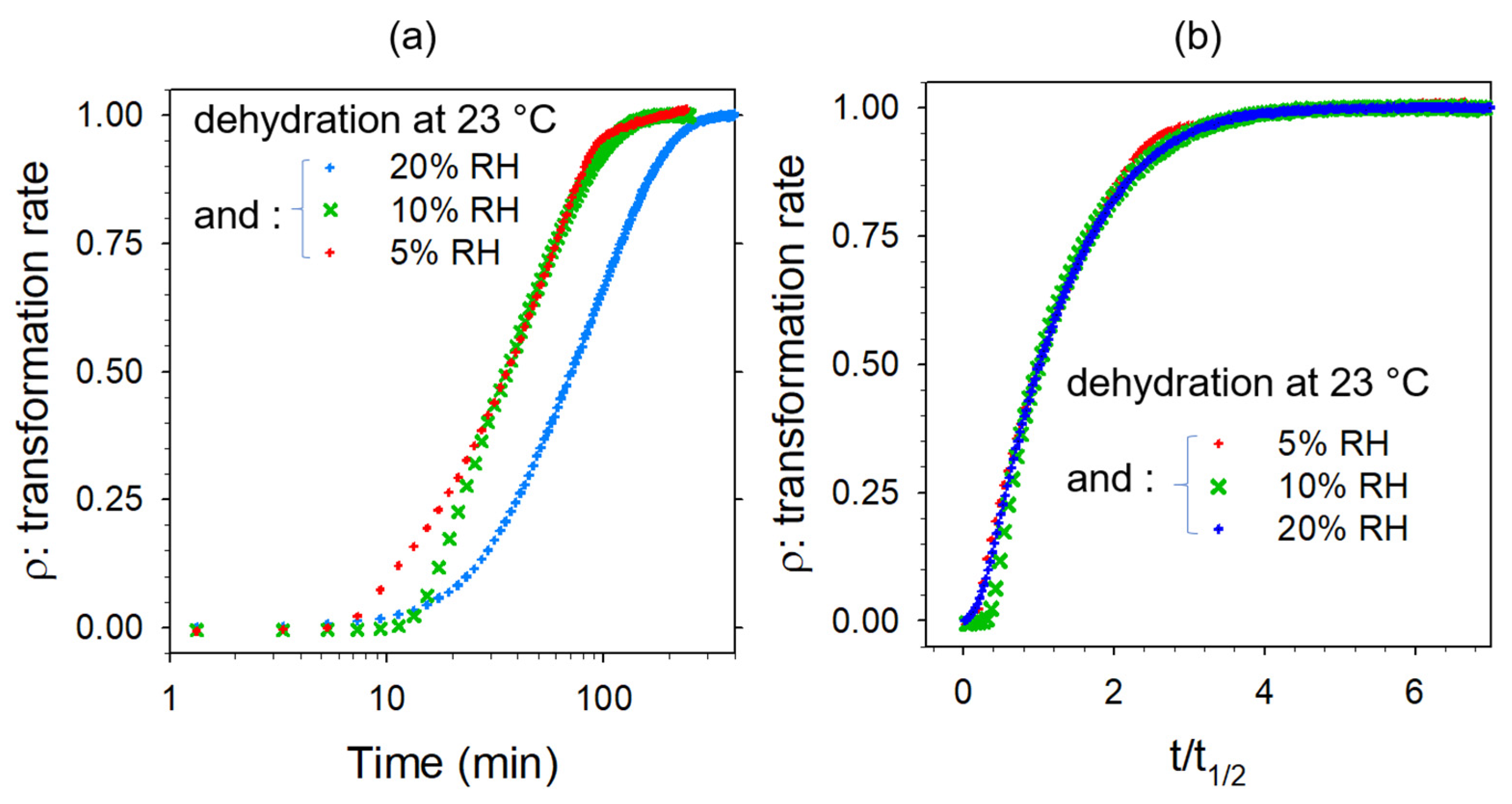 Pharmaceutics 15 01955 g012