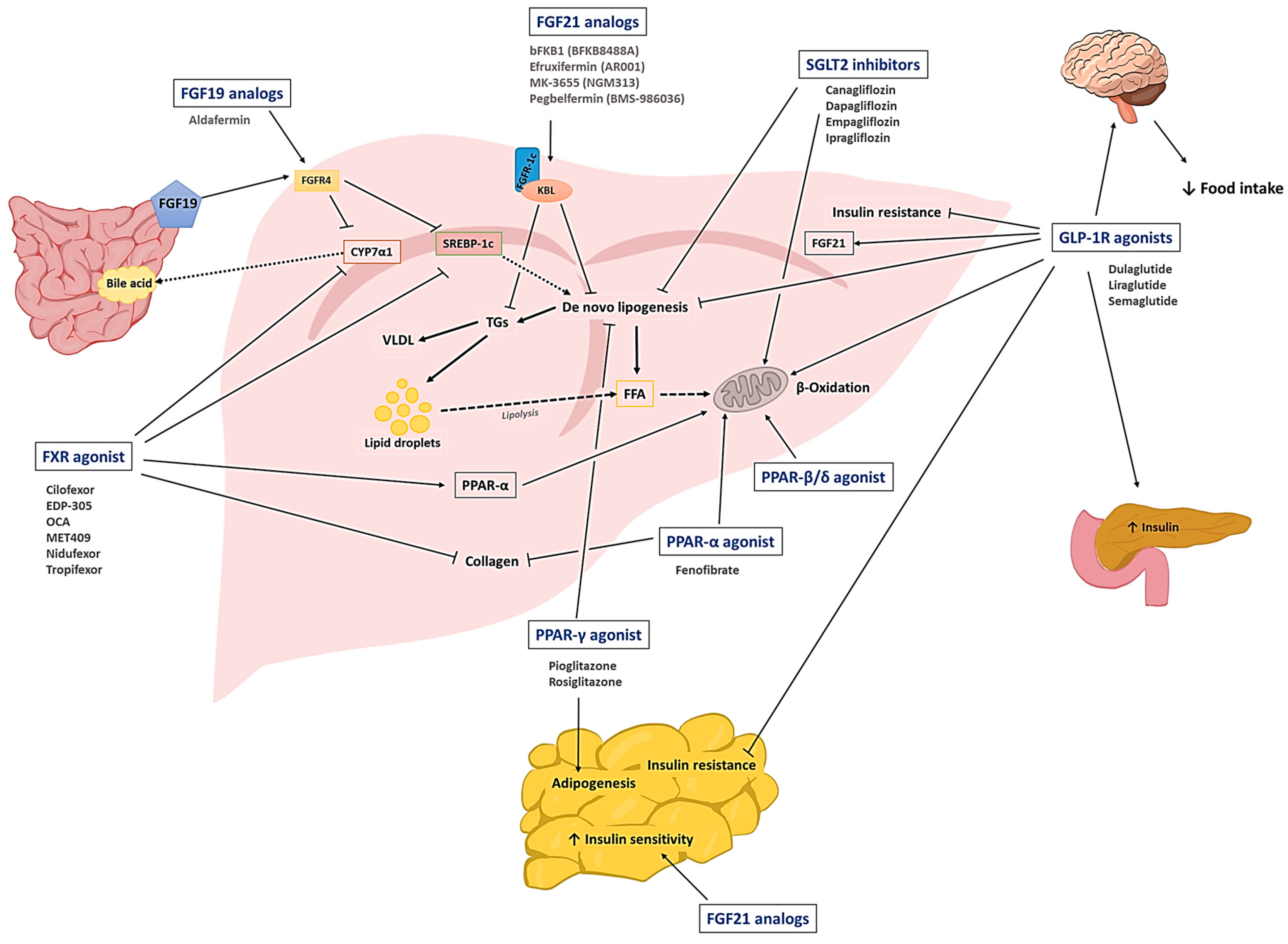 Pharmaceutics 15 01963 g001 Pharmaceutics 15 01963 g001