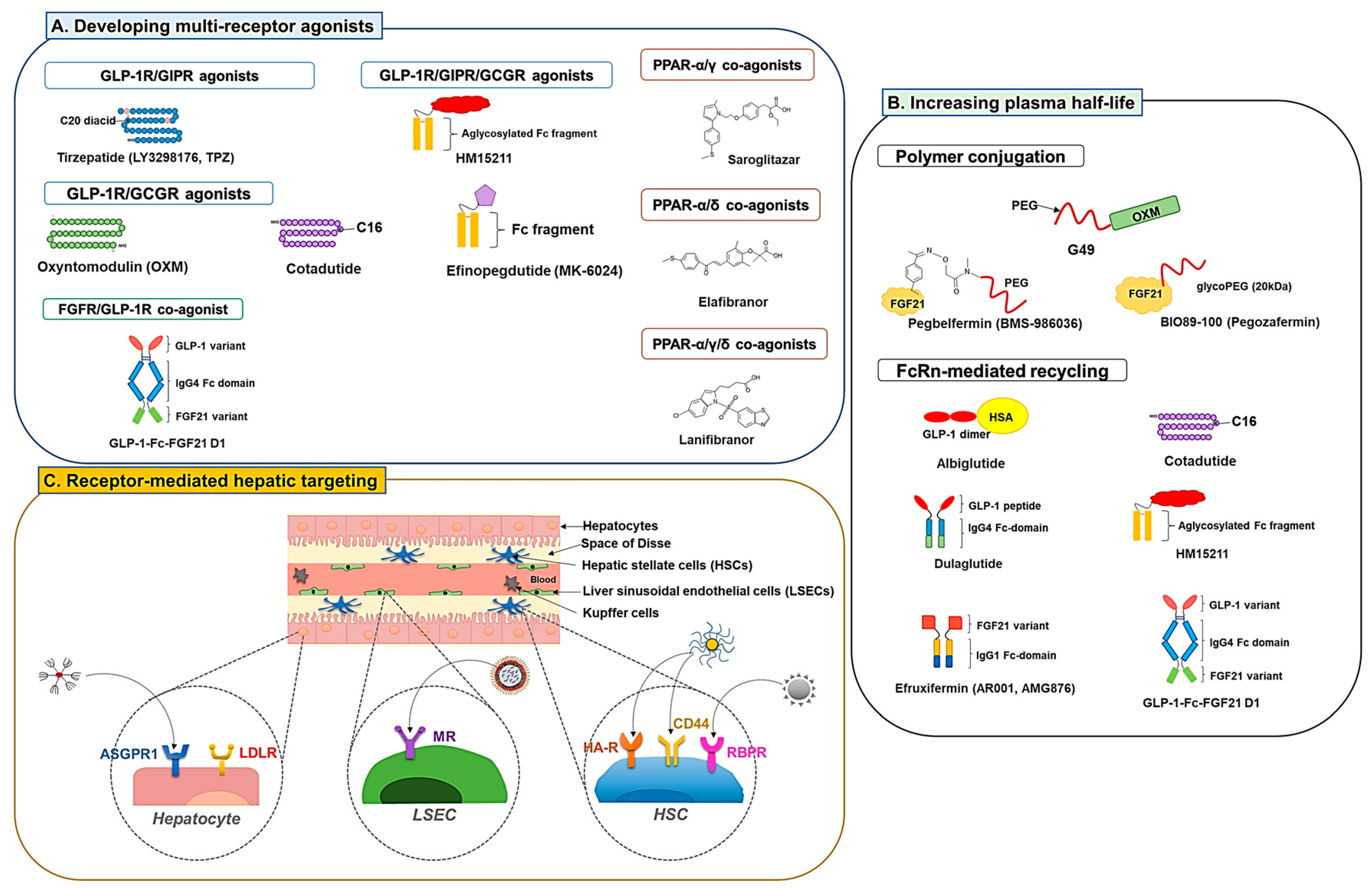 Pharmaceutics 15 01963 g002 Pharmaceutics 15 01963 g002