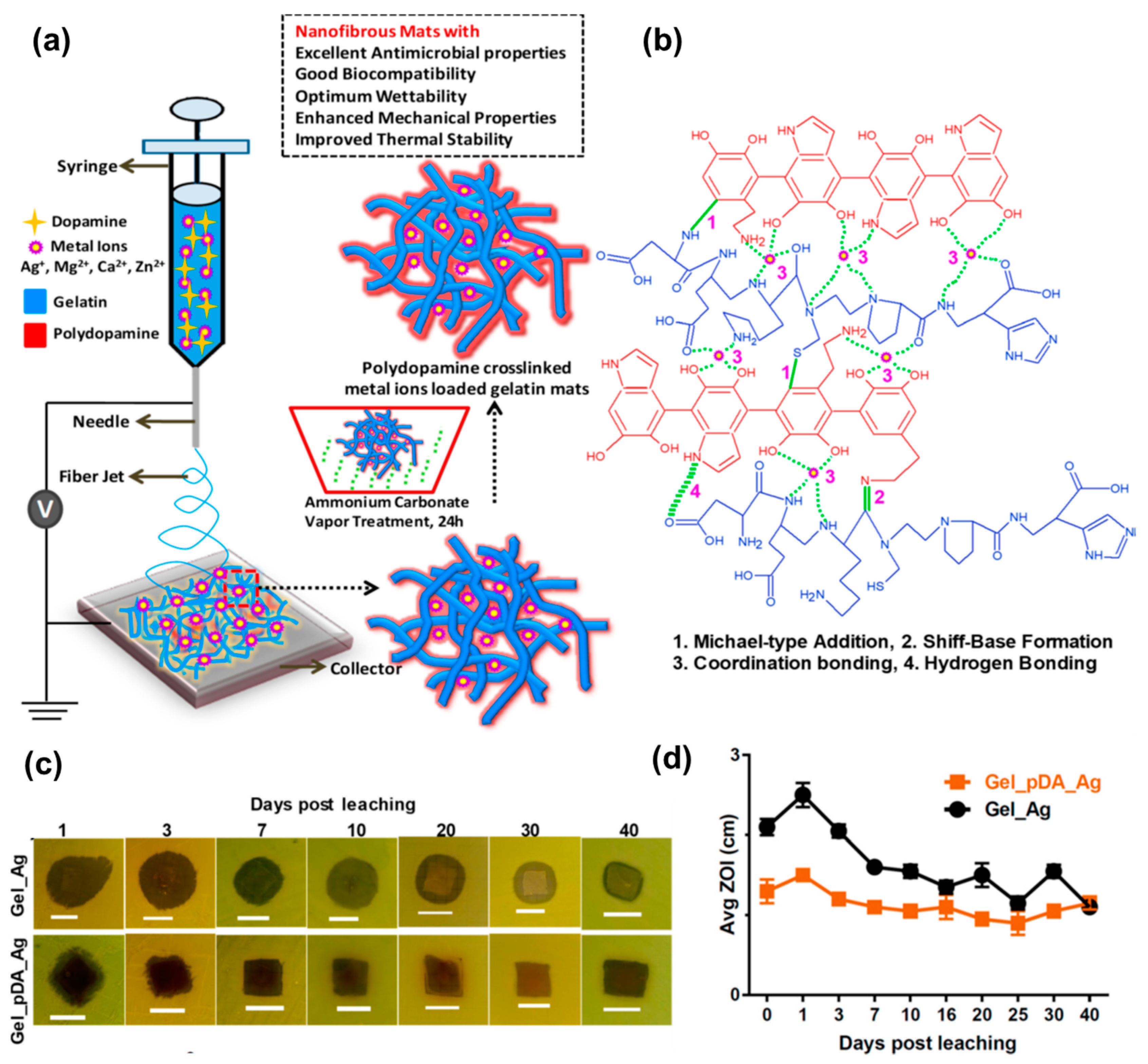 Pharmaceutics 15 01964 g003 Pharmaceutics 15 01964 g003