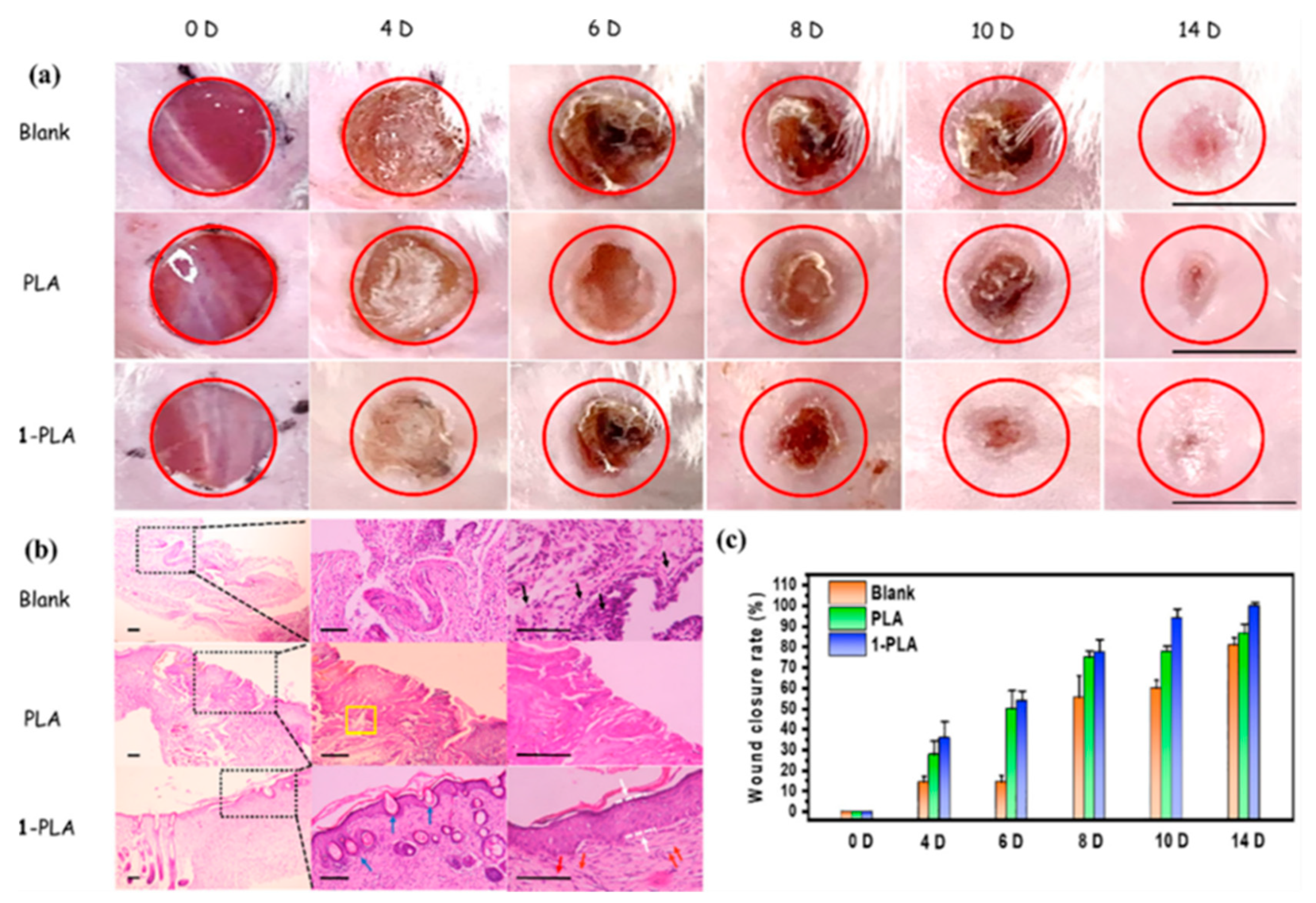 Pharmaceutics 15 01964 g005 Pharmaceutics 15 01964 g005