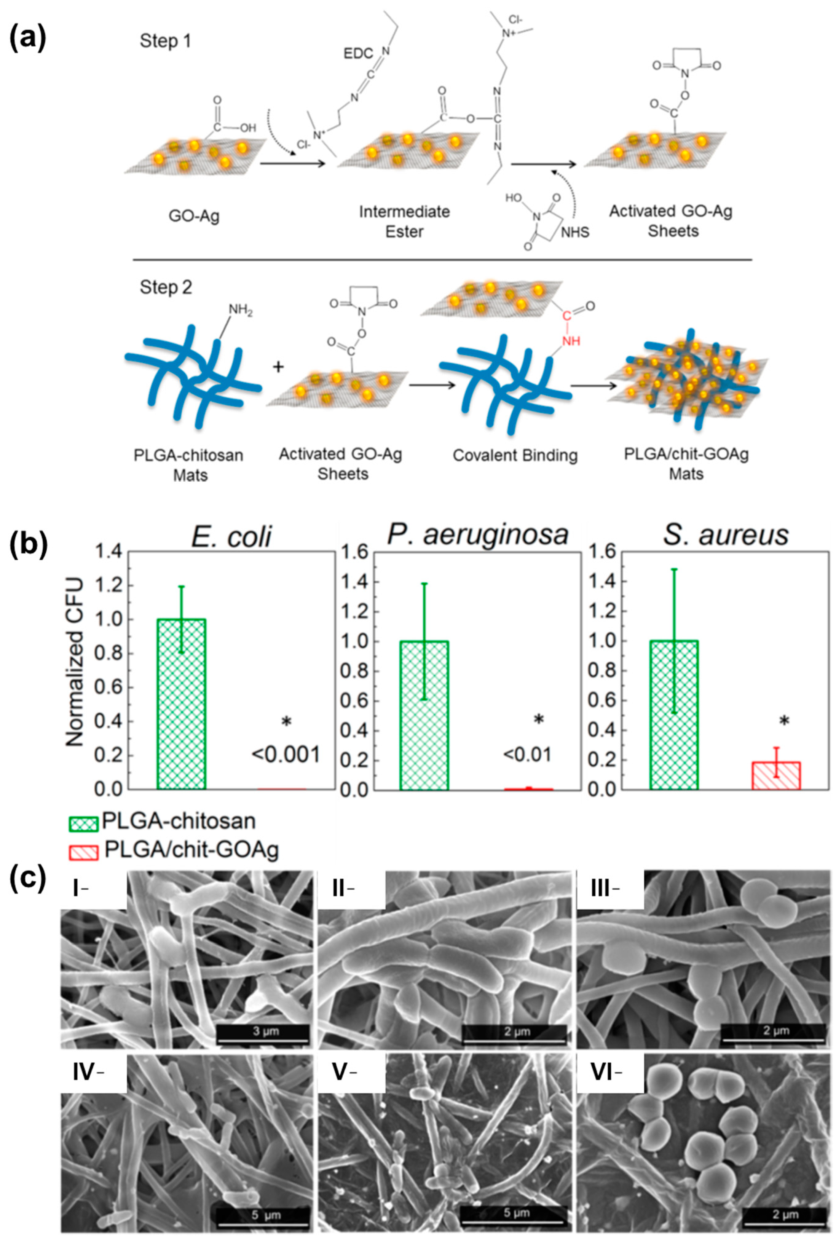 Pharmaceutics 15 01964 g008 Pharmaceutics 15 01964 g008