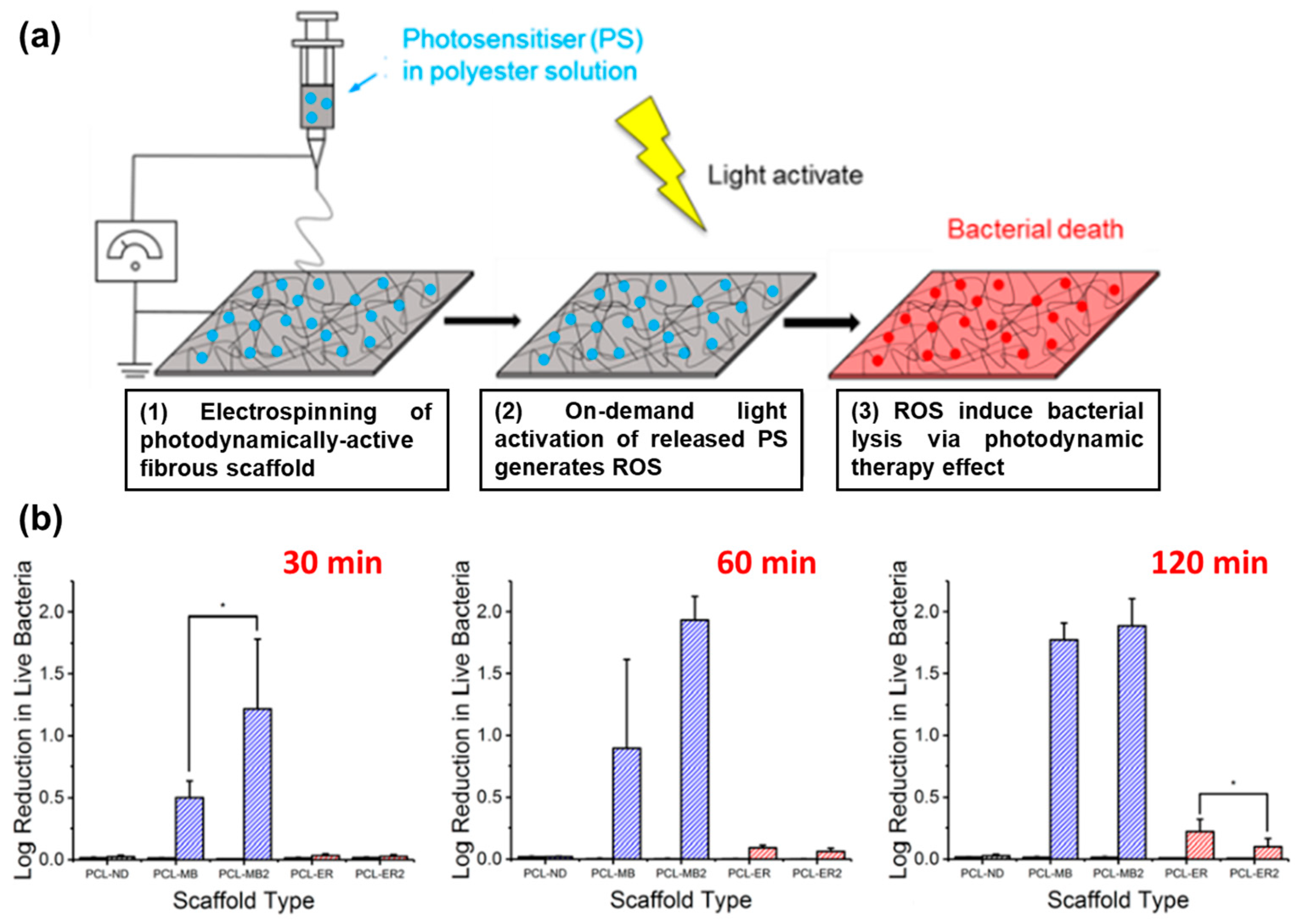 Pharmaceutics 15 01964 g009 Pharmaceutics 15 01964 g009