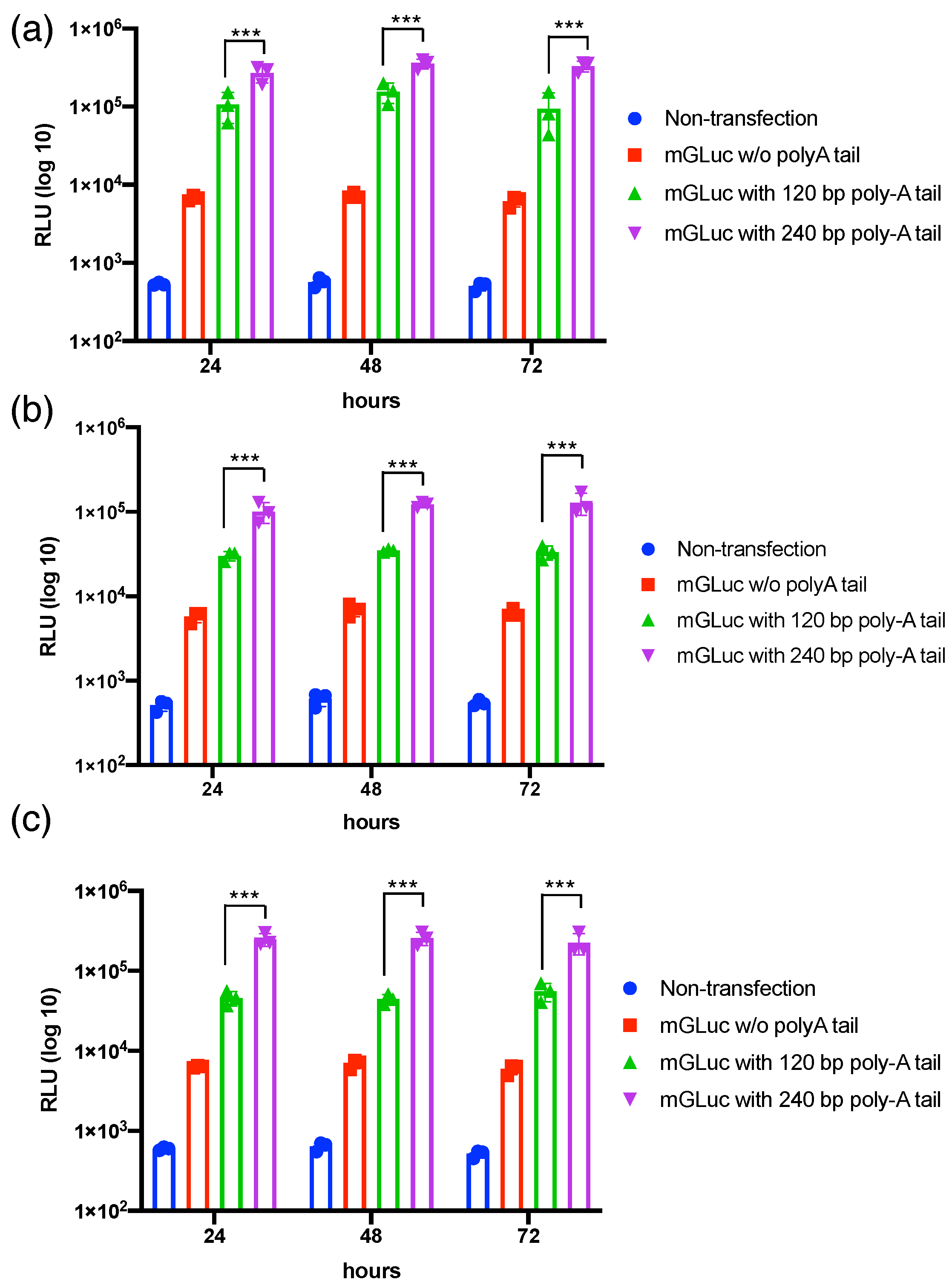 Pharmaceutics 15 01965 g001 Pharmaceutics 15 01965 g001