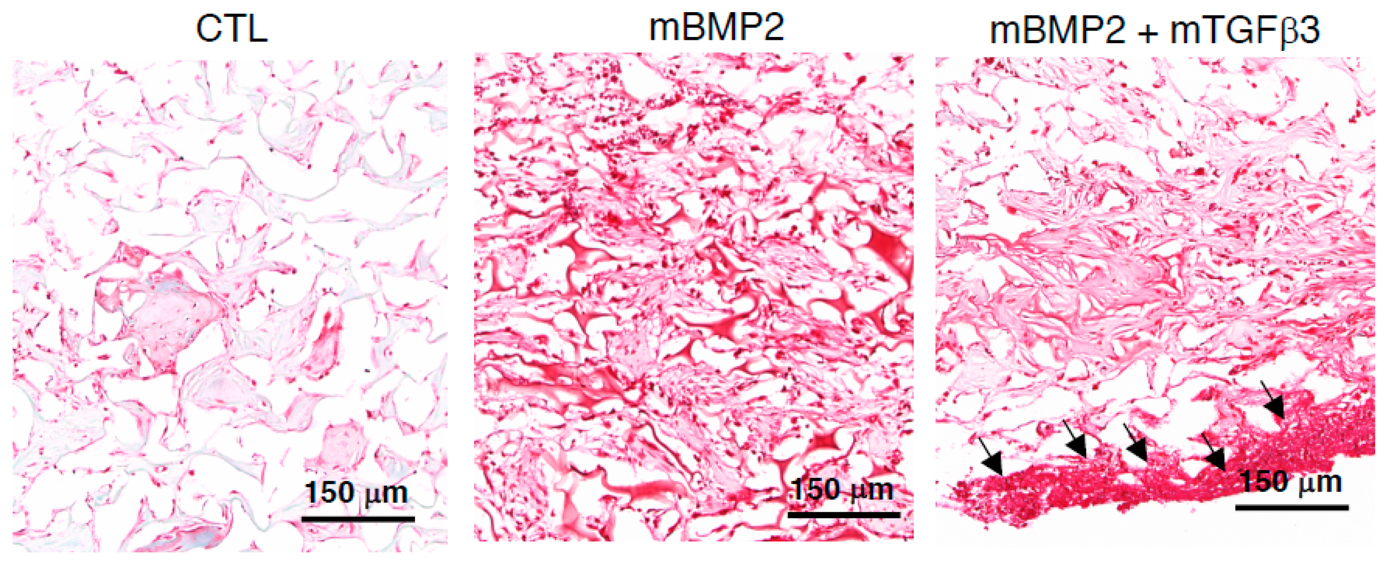 Pharmaceutics 15 01965 g005 Pharmaceutics 15 01965 g005