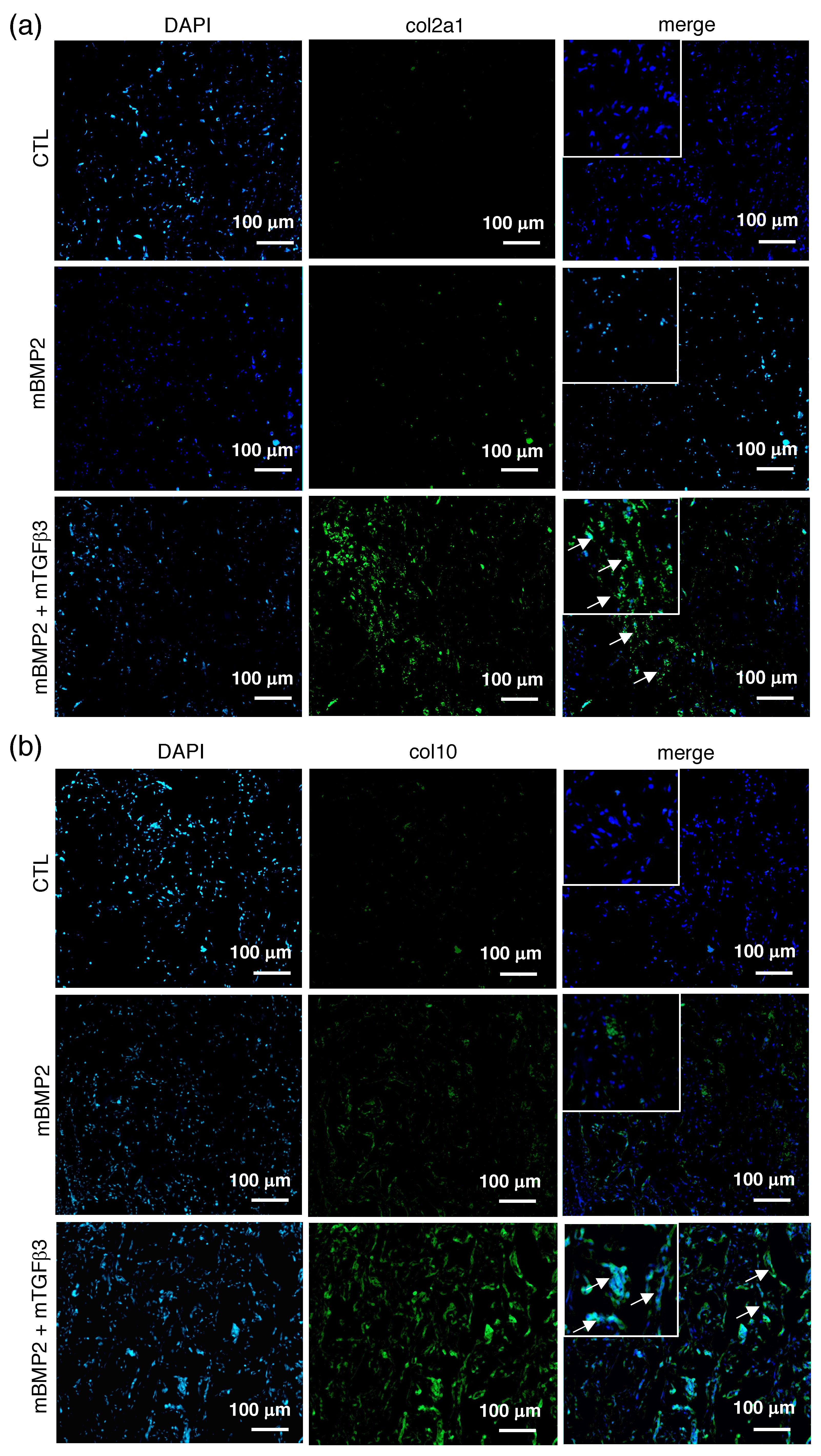 Pharmaceutics 15 01965 g006 Pharmaceutics 15 01965 g006