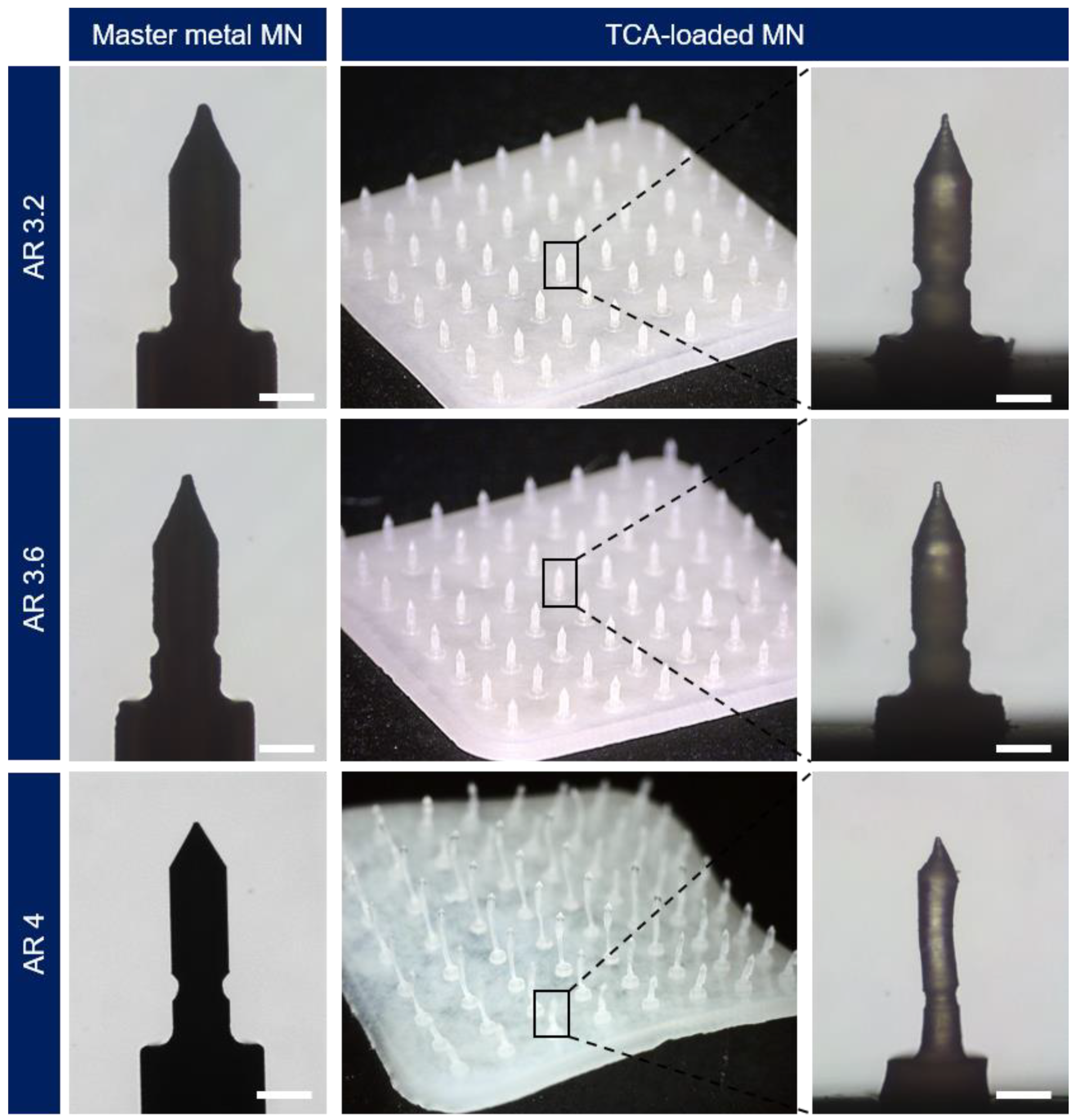 Pharmaceutics 15 01966 g004