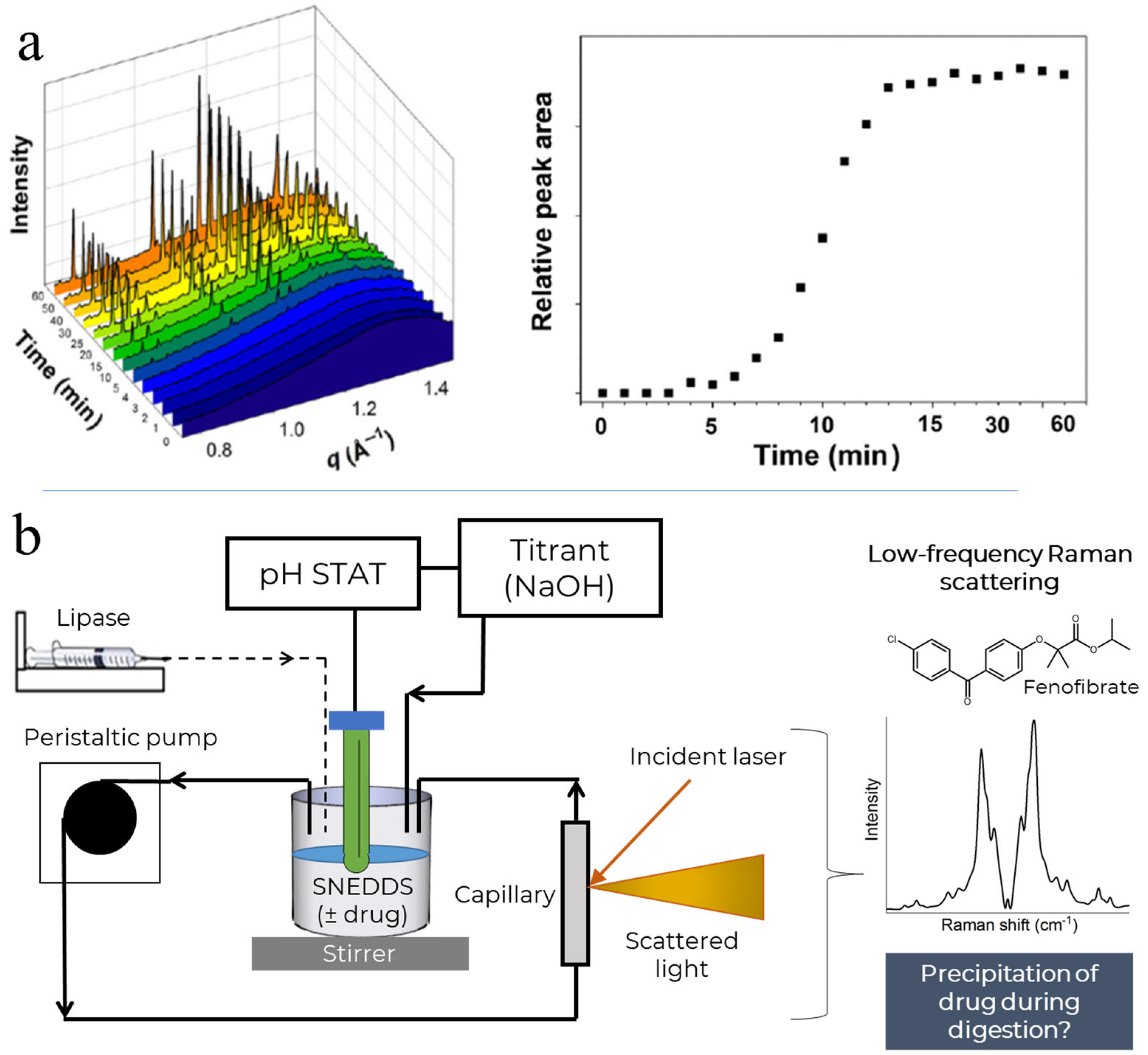 Pharmaceutics 15 01968 g001 Pharmaceutics 15 01968 g001