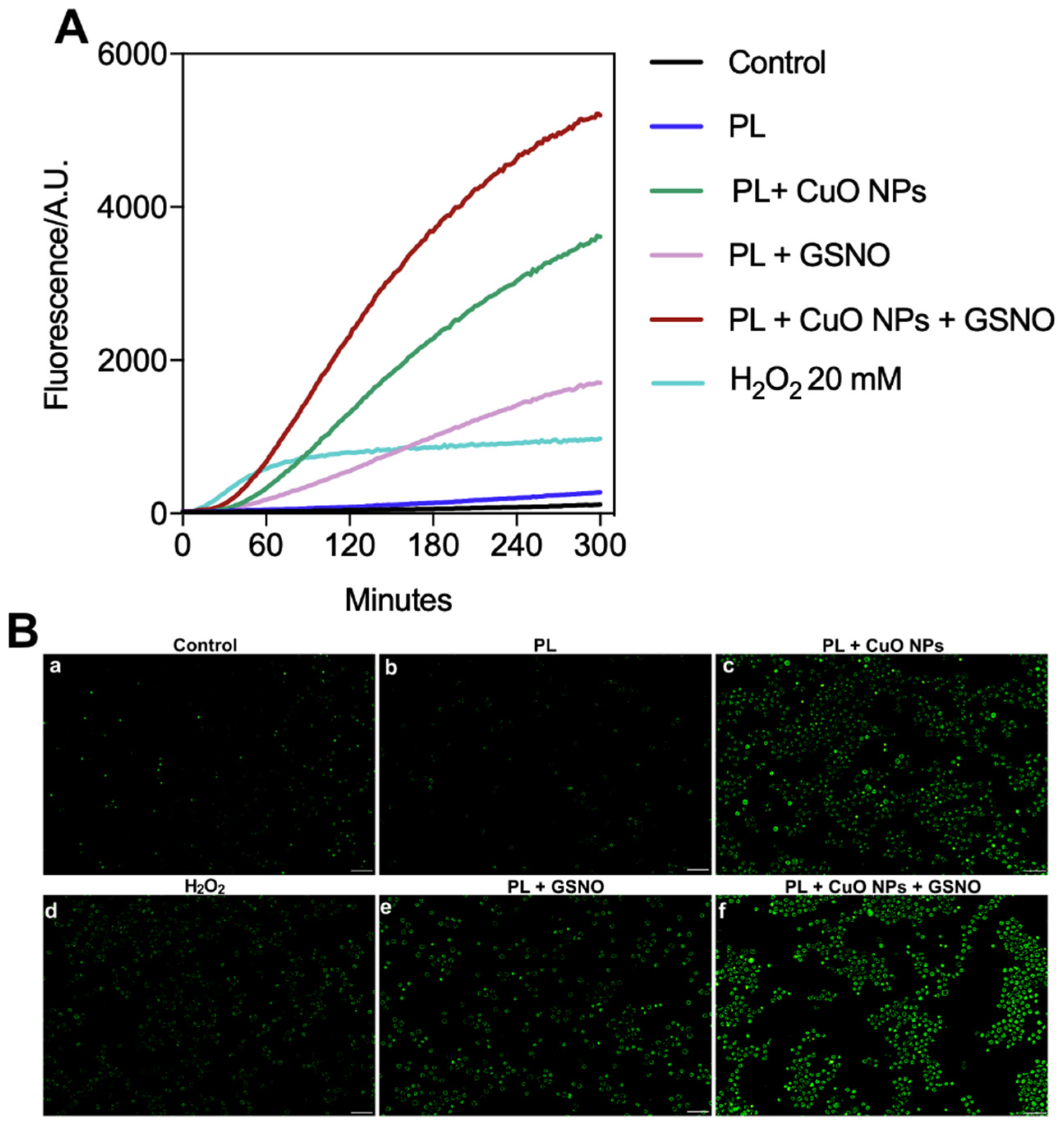 Pharmaceutics 15 01971 g009