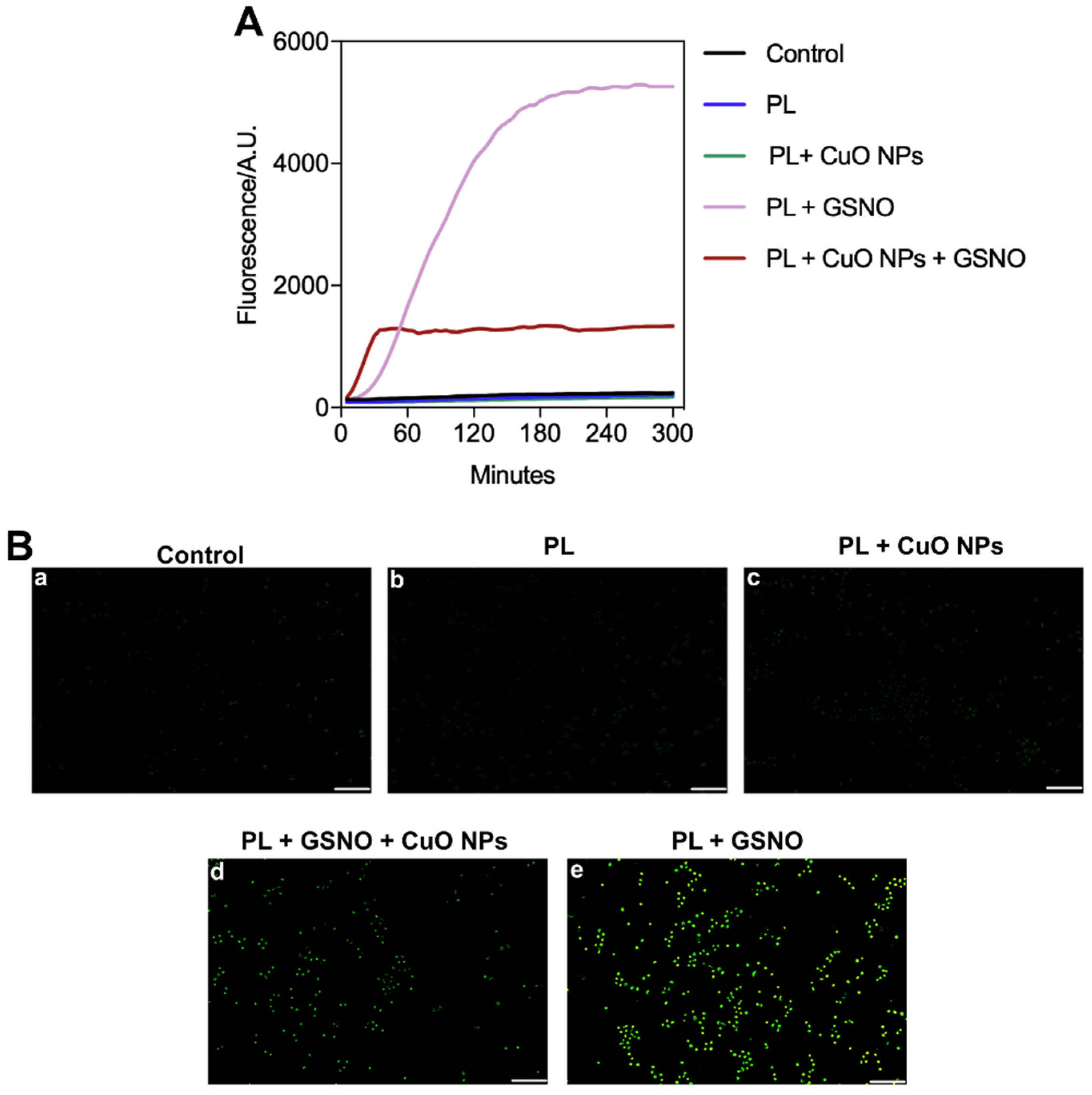 Pharmaceutics 15 01971 g010