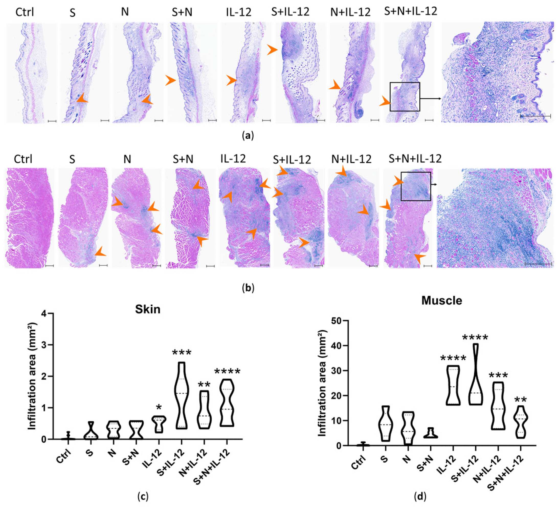 Pharmaceutics 15 01981 g004 Pharmaceutics 15 01981 g004