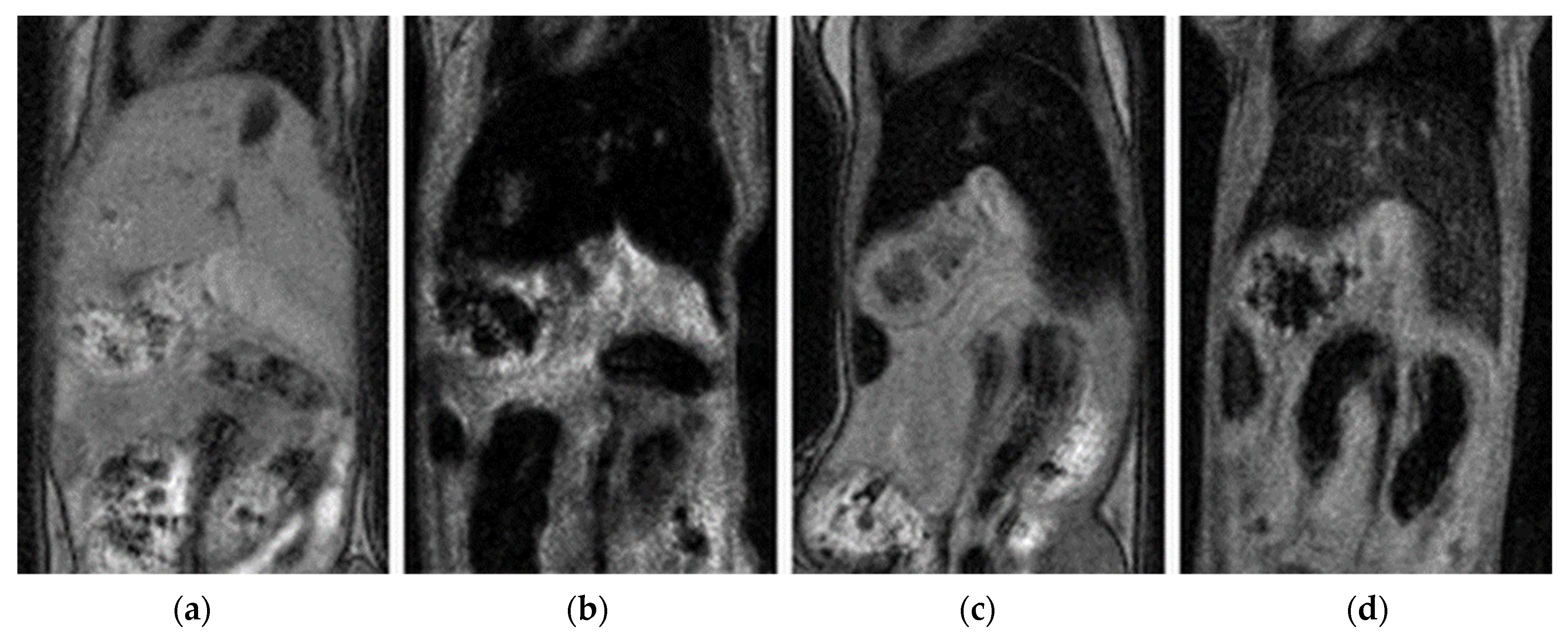 Pharmaceutics 15 01982 g009