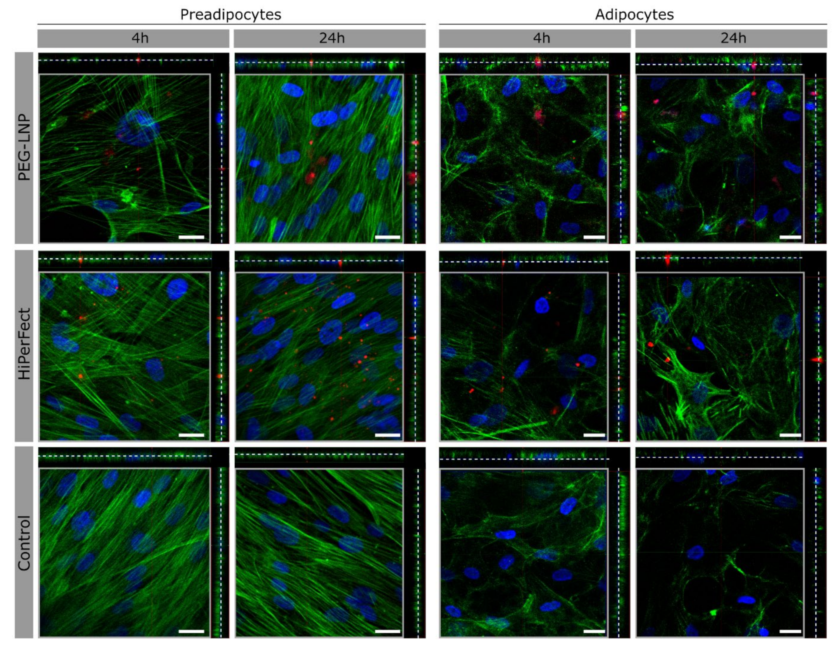 Pharmaceutics 15 01983 g002 Pharmaceutics 15 01983 g002