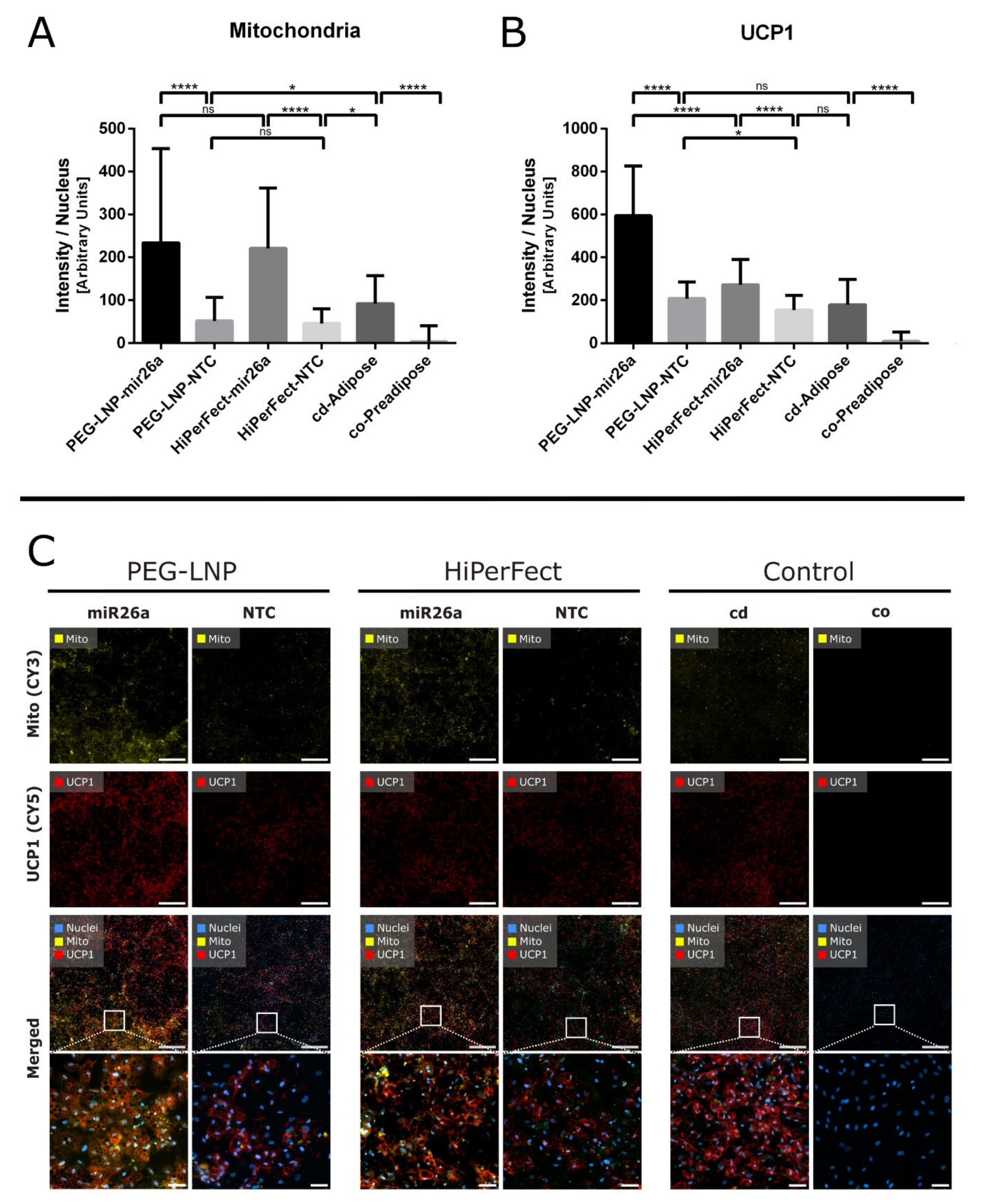 Pharmaceutics 15 01983 g006 Pharmaceutics 15 01983 g006