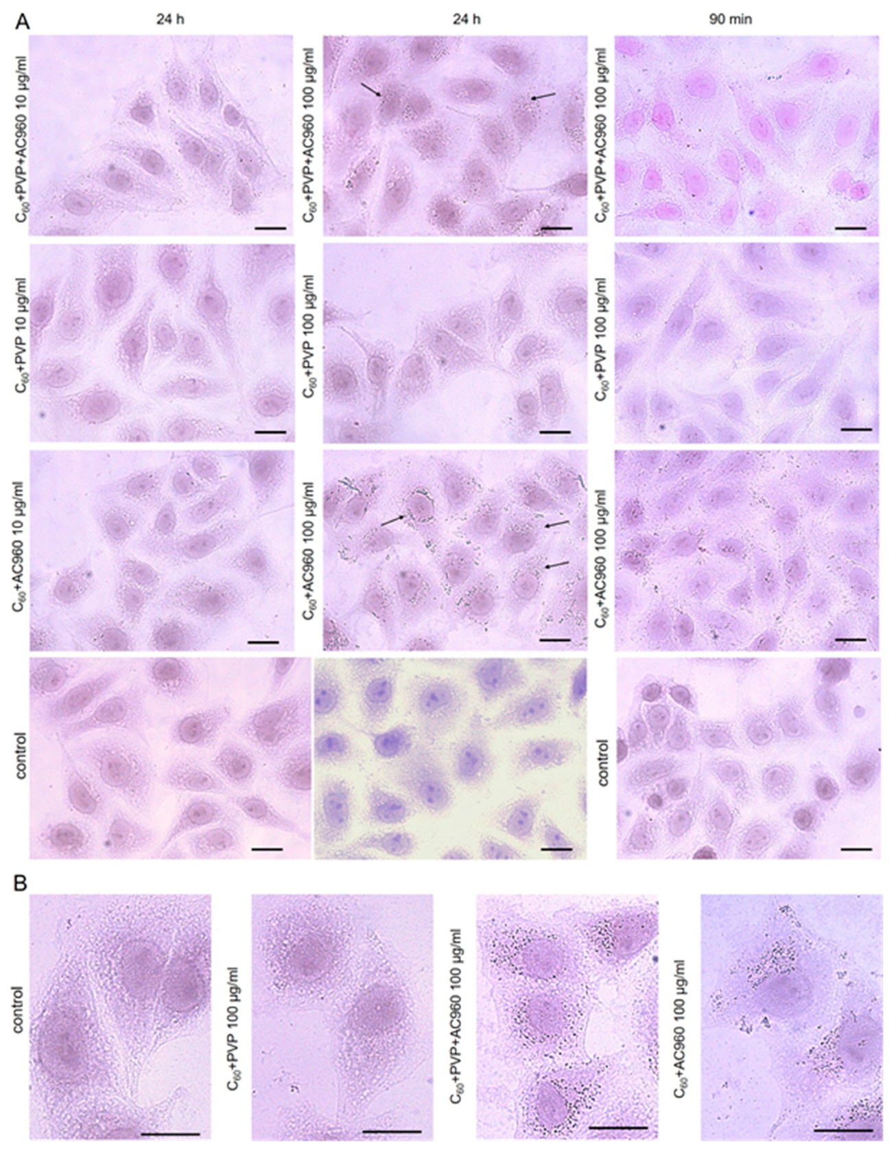 Pharmaceutics 15 01984 g007