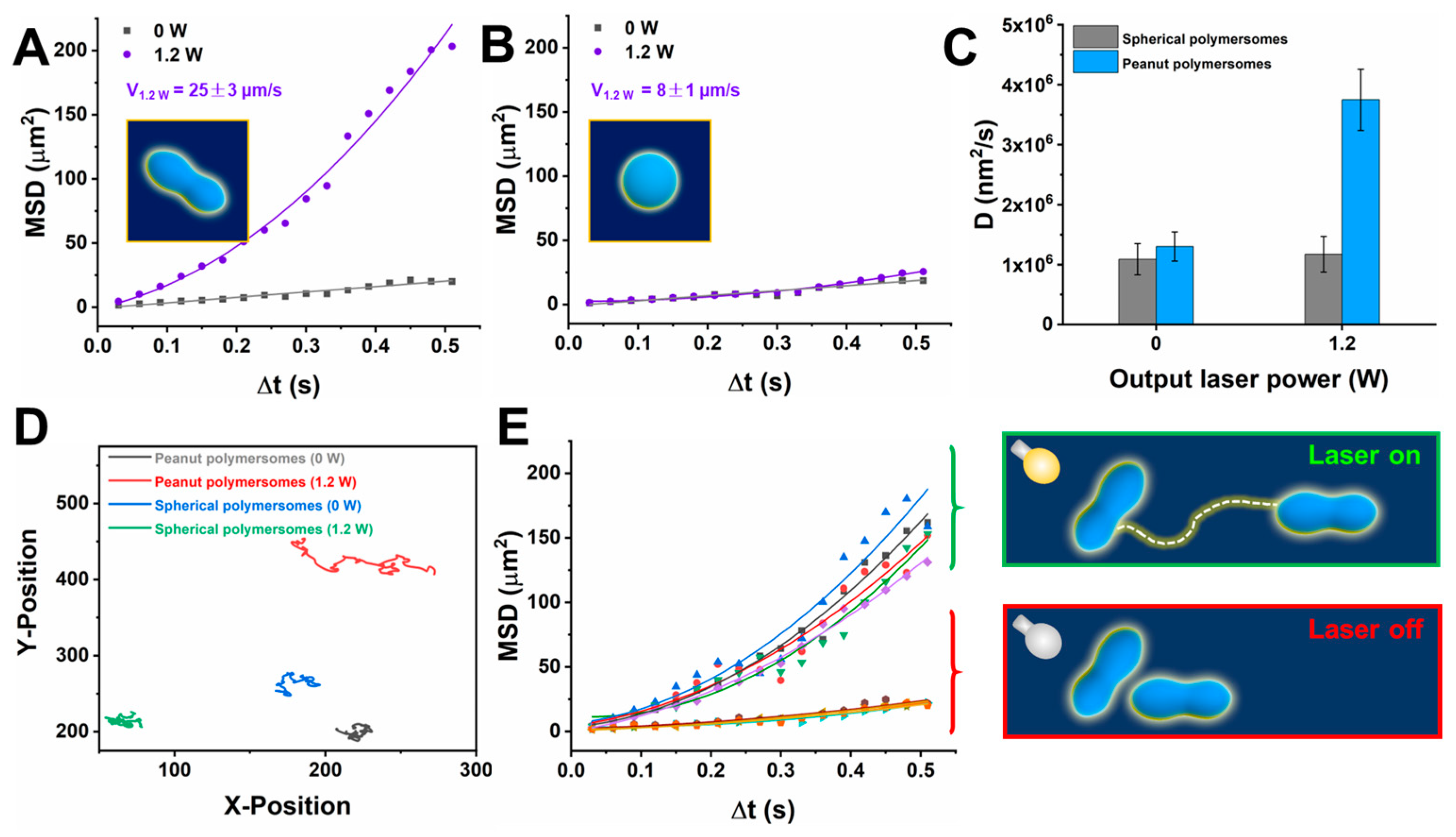 Pharmaceutics 15 01986 g003 Pharmaceutics 15 01986 g003