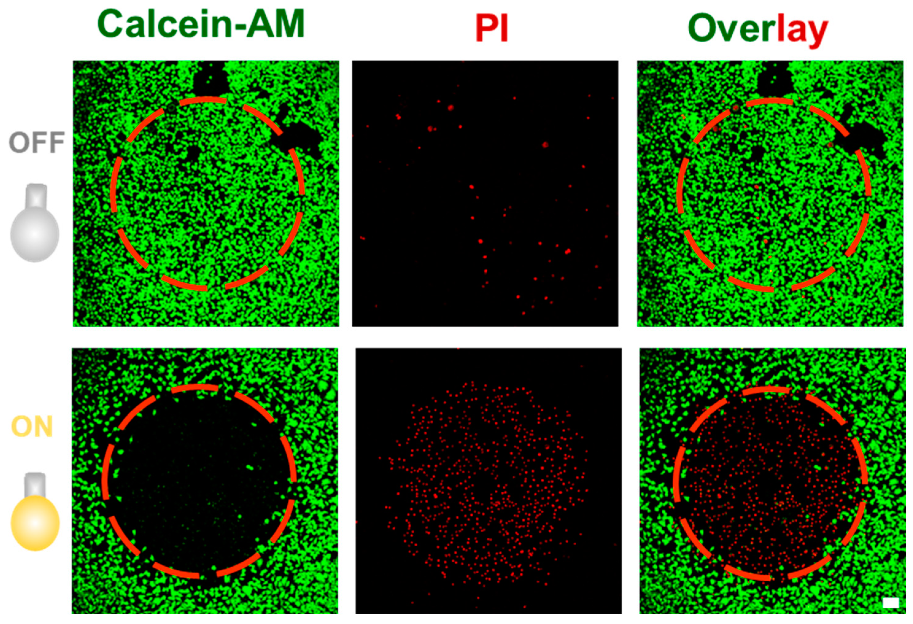 Pharmaceutics 15 01986 g005 Pharmaceutics 15 01986 g005
