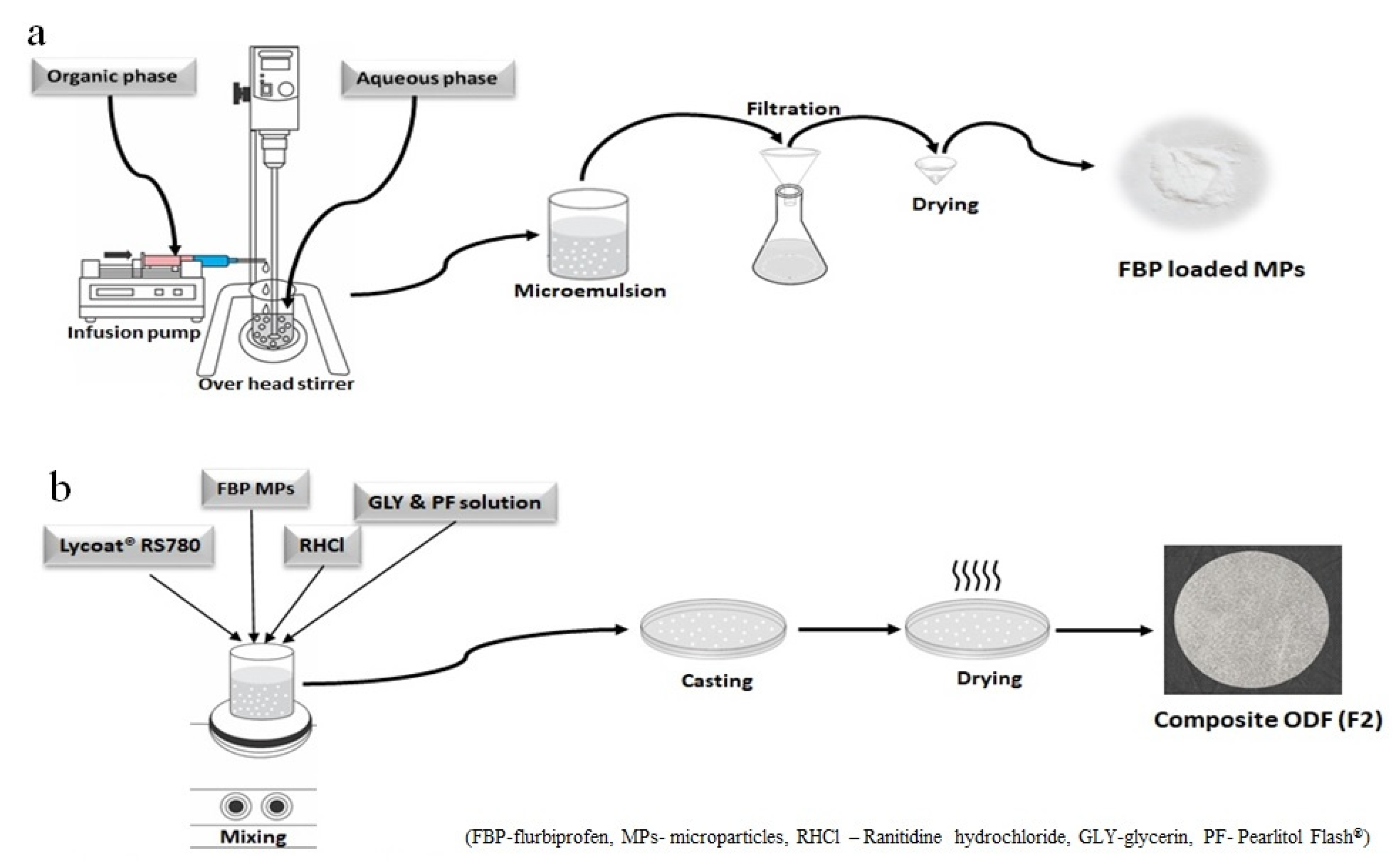 Pharmaceutics 15 01987 g001