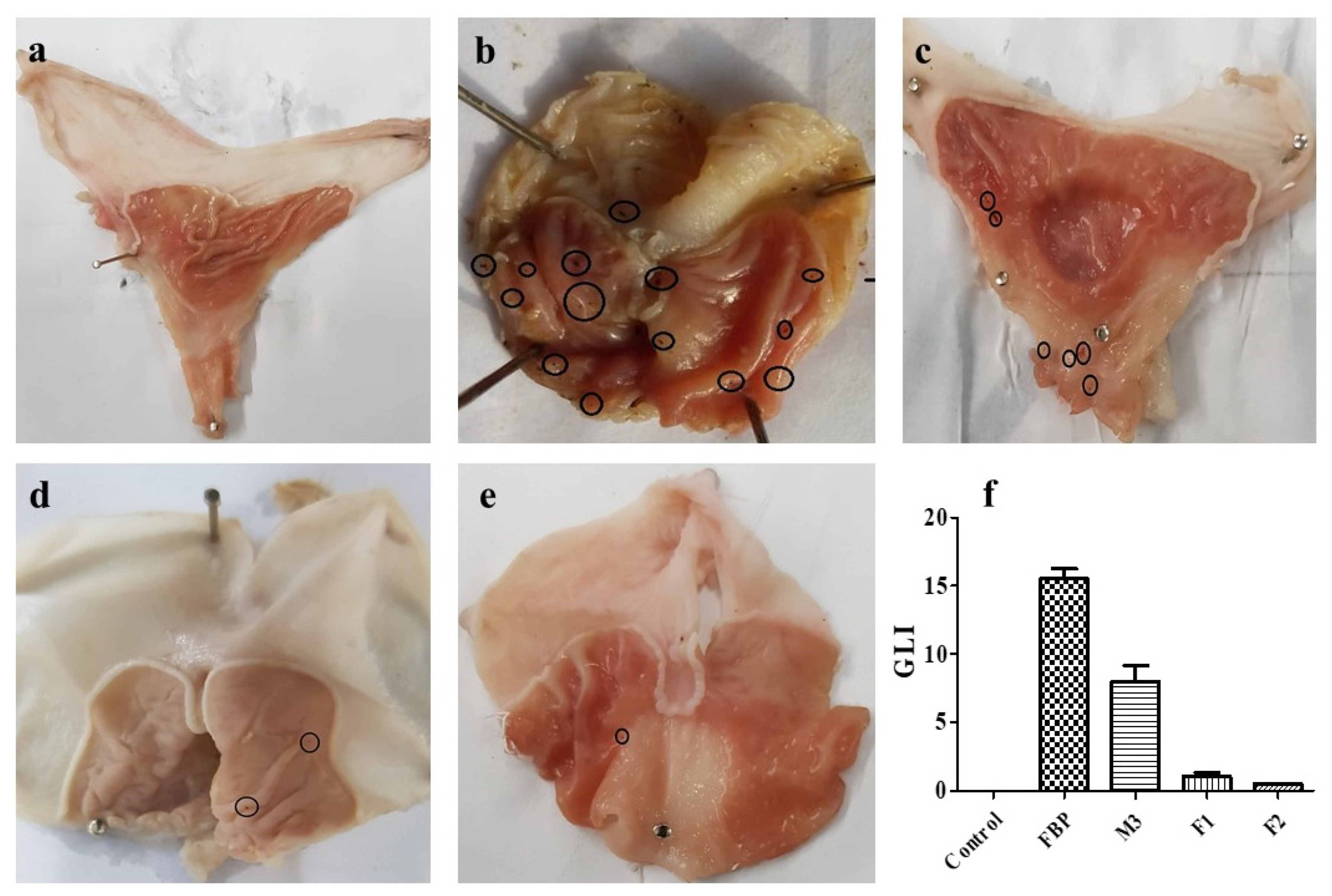 Pharmaceutics 15 01987 g011