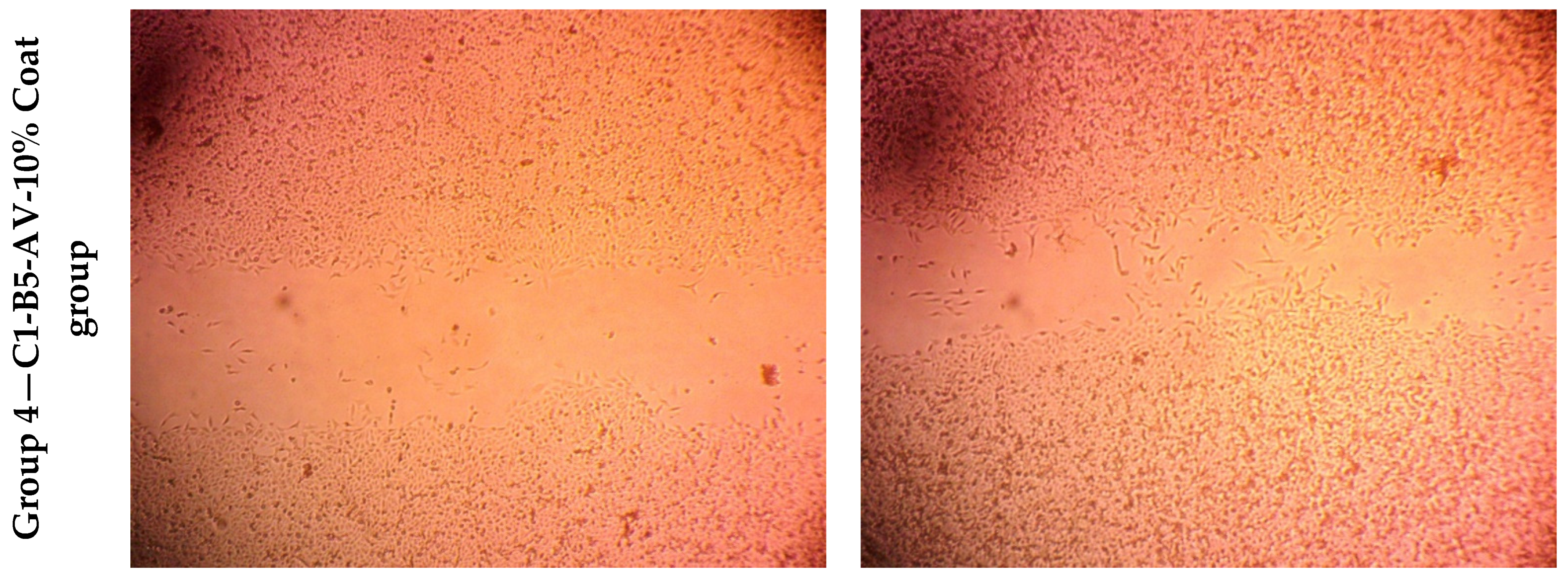 Pharmaceutics 15 01990 g009b Pharmaceutics 15 01990 g009b