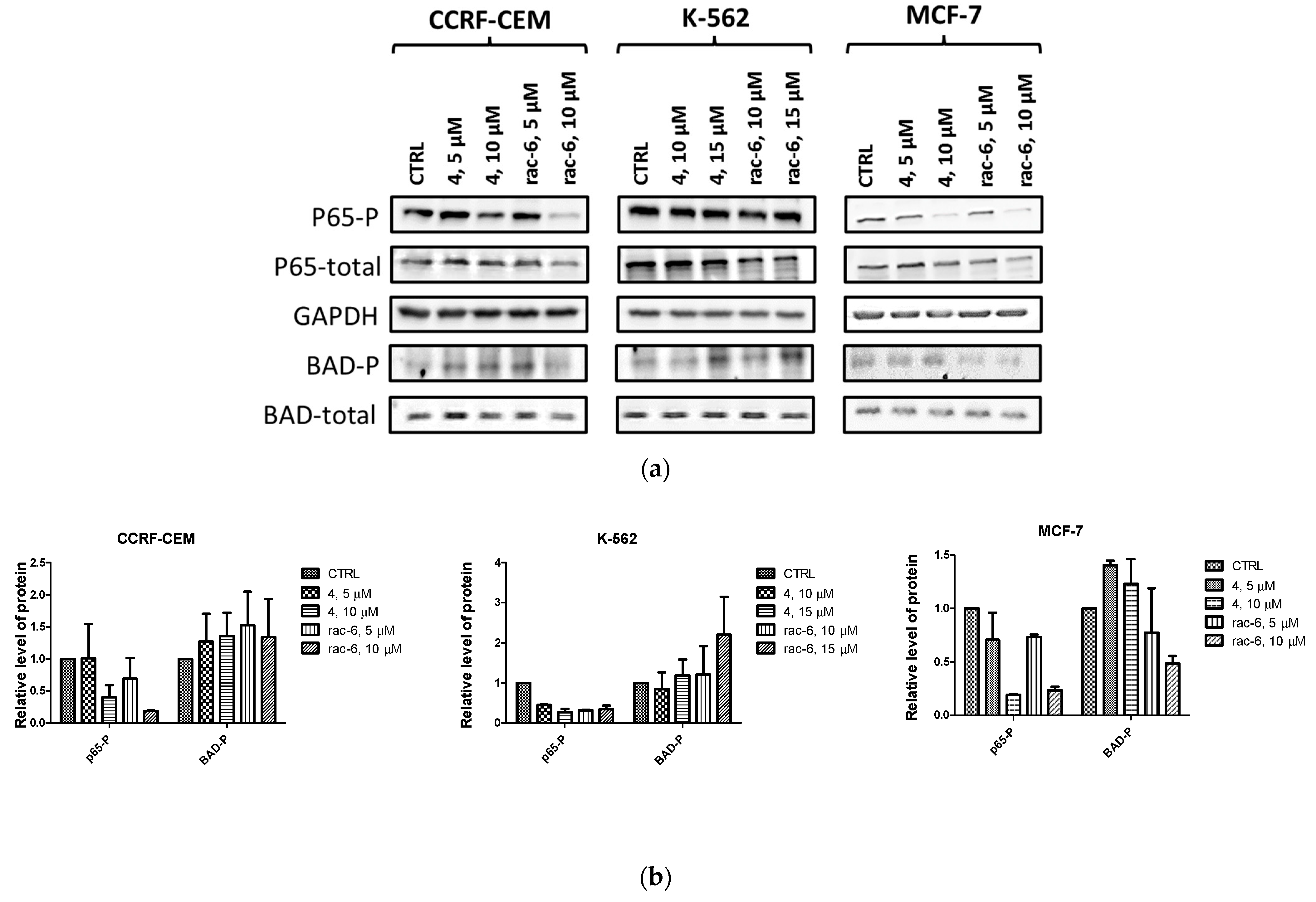 Pharmaceutics 15 01991 g008